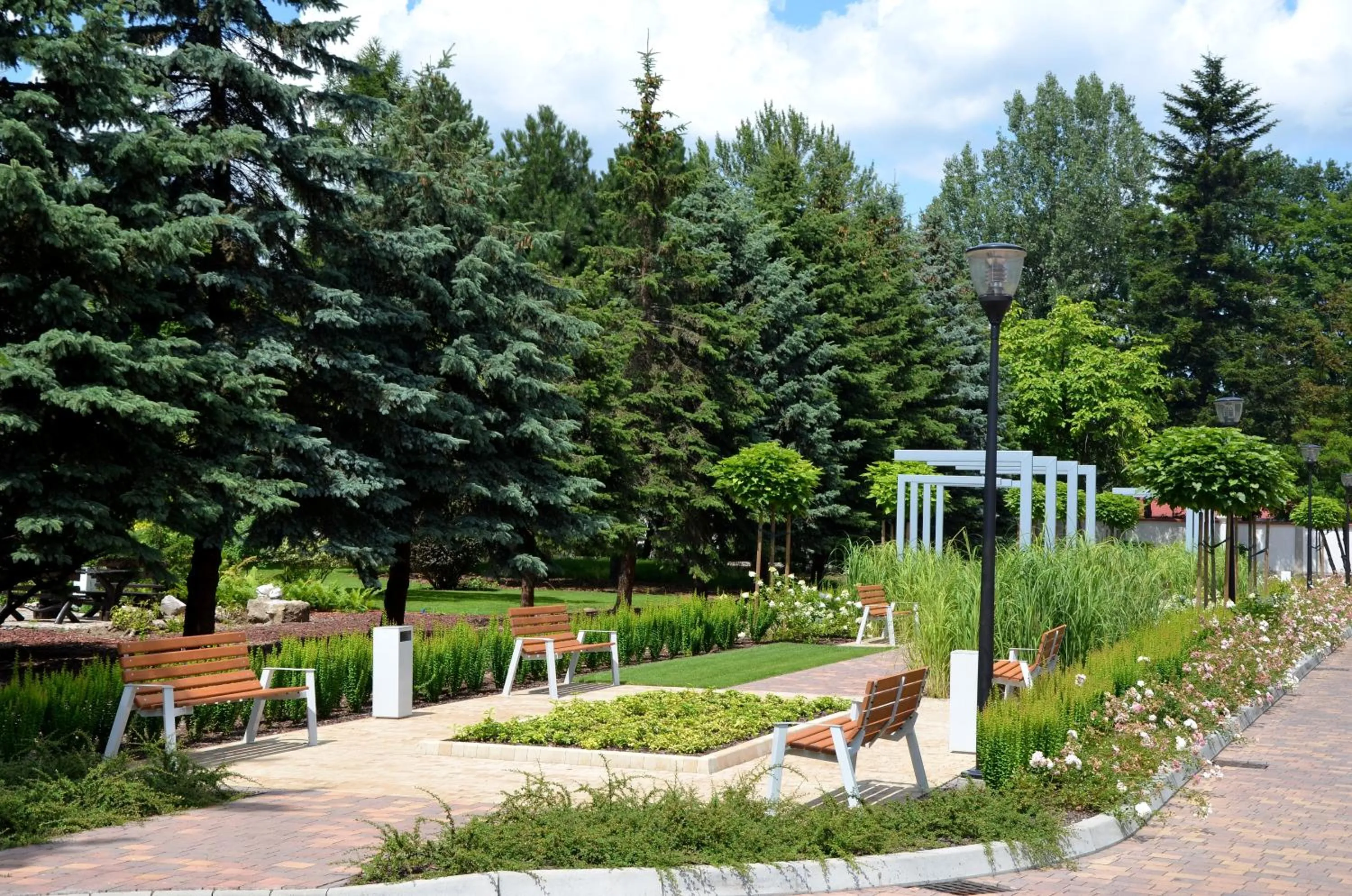 Garden in Domus Mater Hotel
