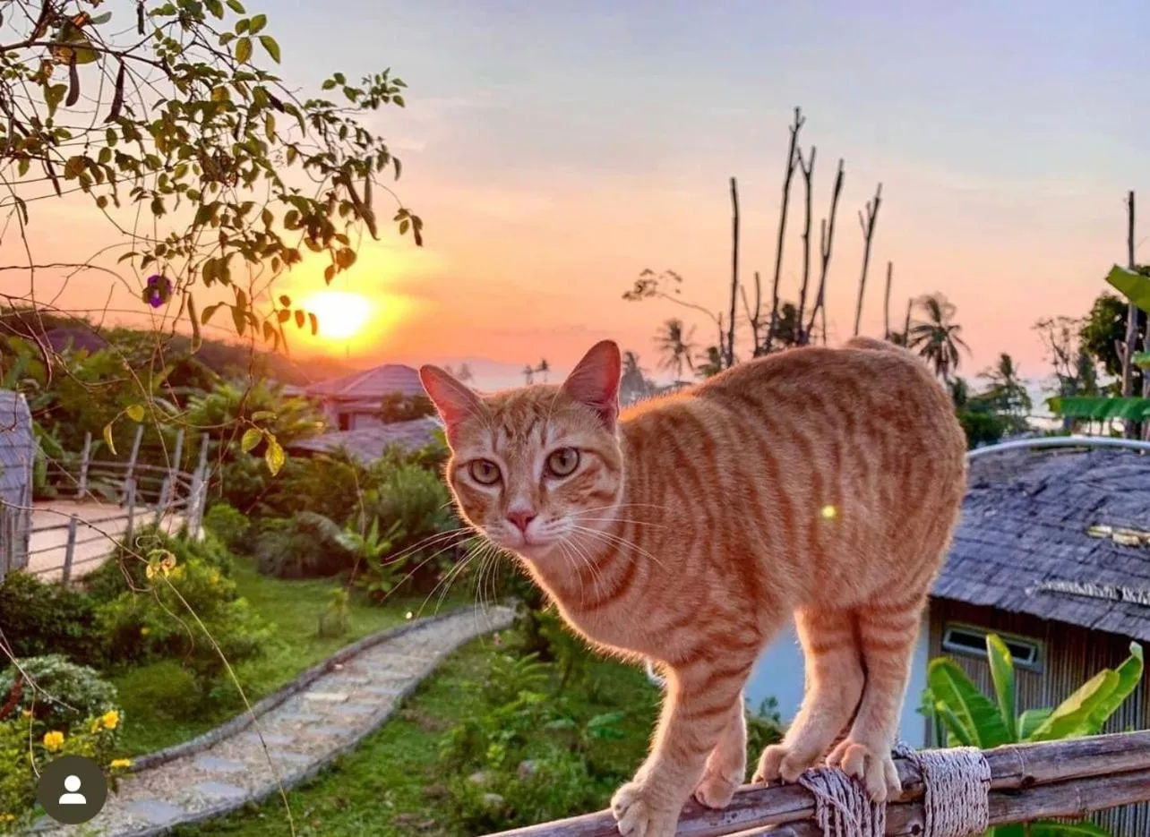 Jaiyen Boutique Resort