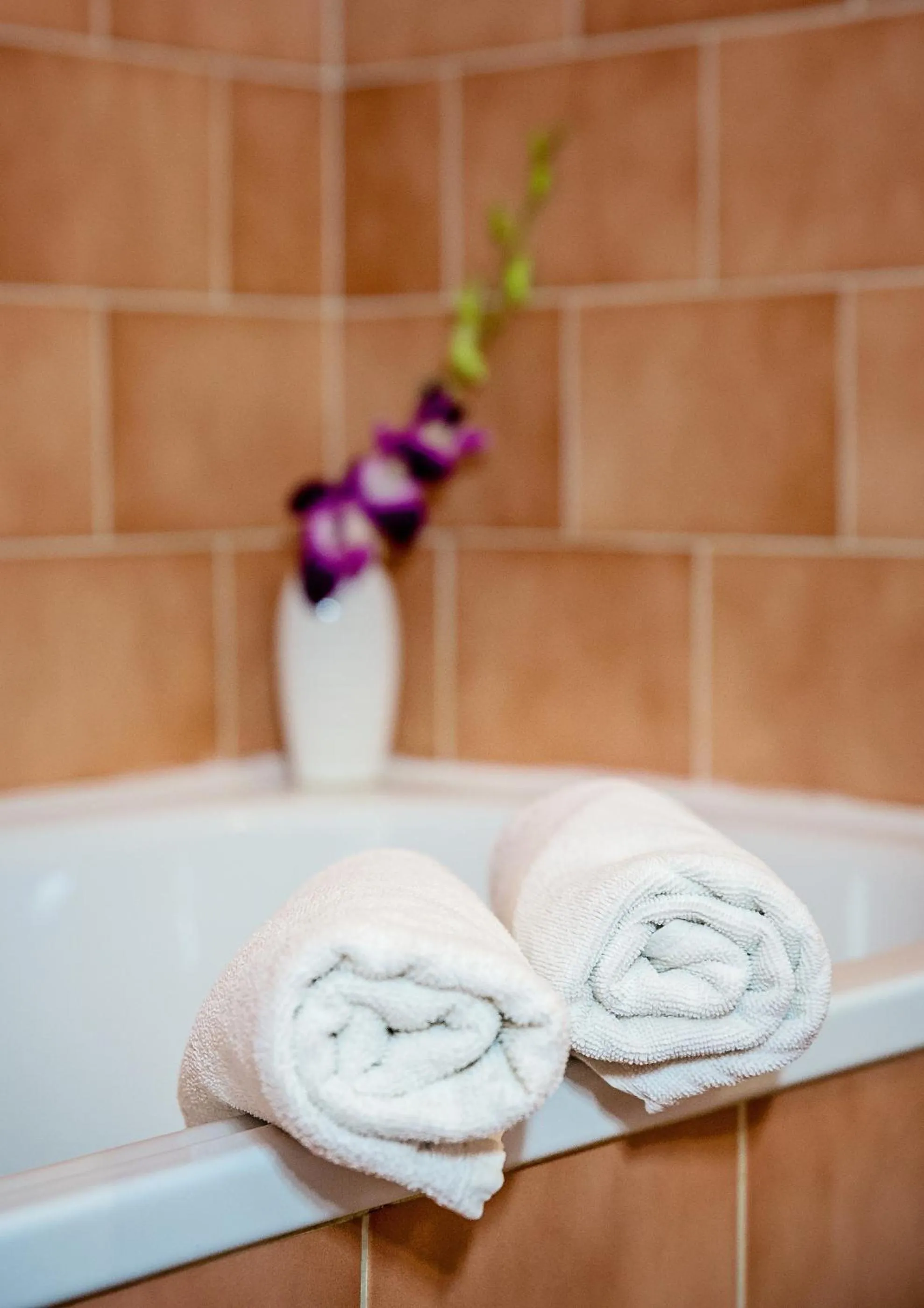 Bathroom in Bona Serva