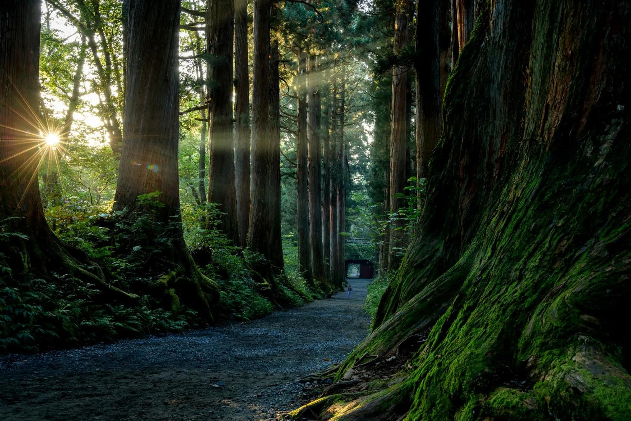Nearby landmark in Fujiiso