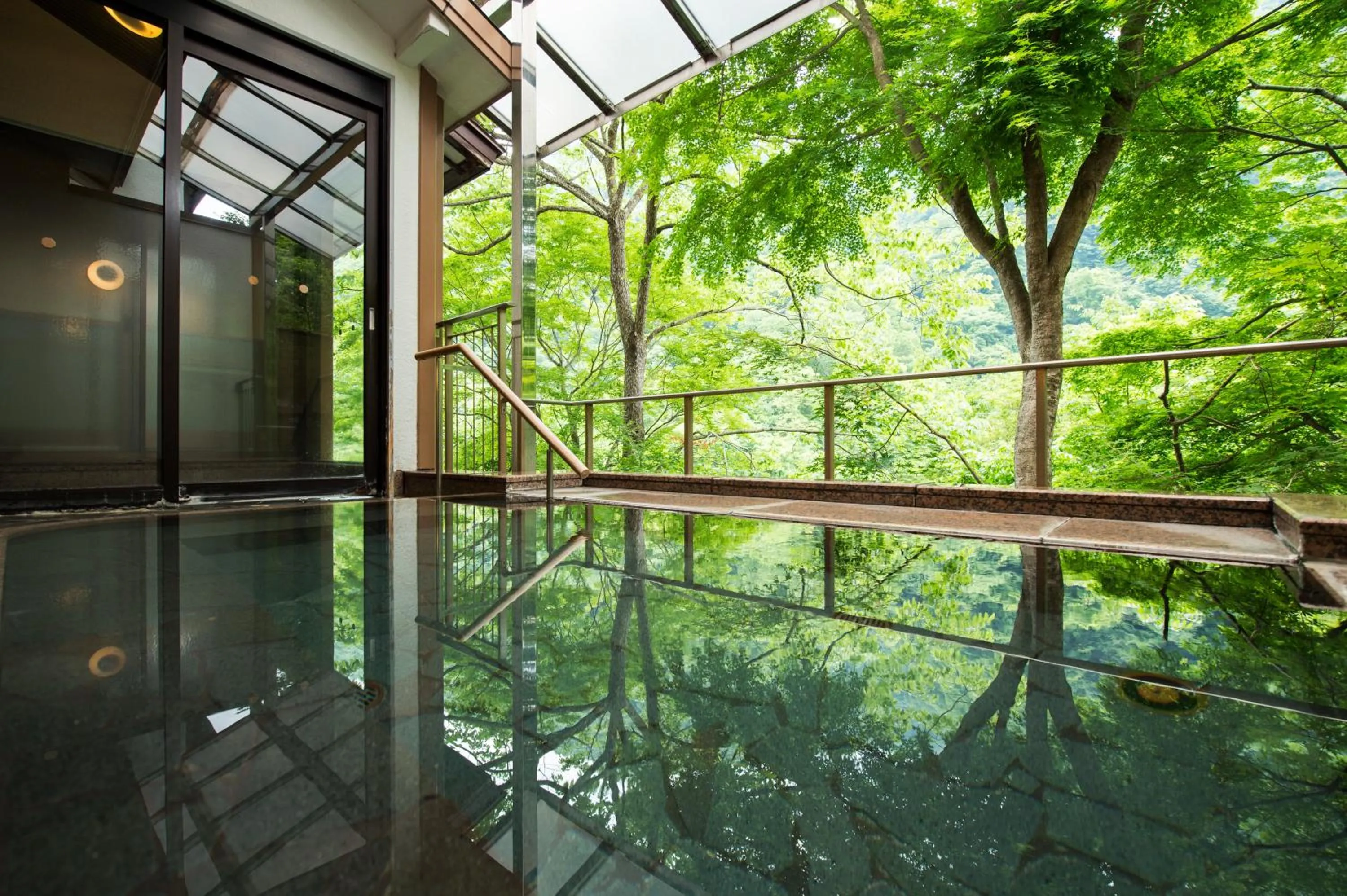 Hot Spring Bath in Fujiiso