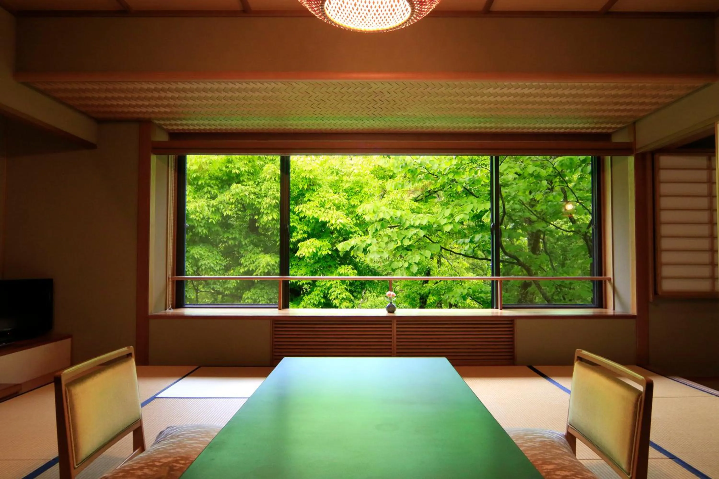 Living room, Bed in Fujiiso