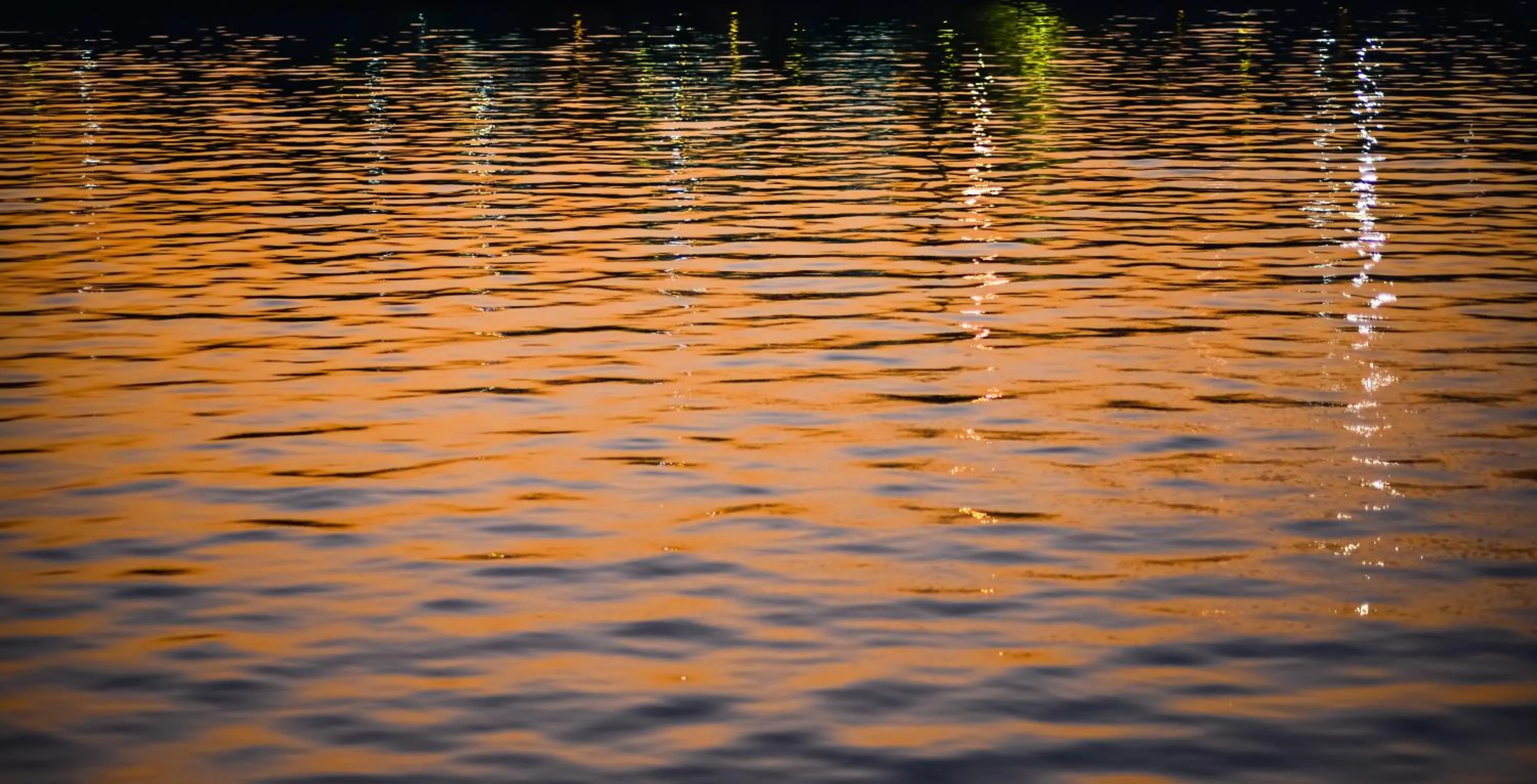 River view in Lemon Tree Premier “The Atrium” Ahmedabad