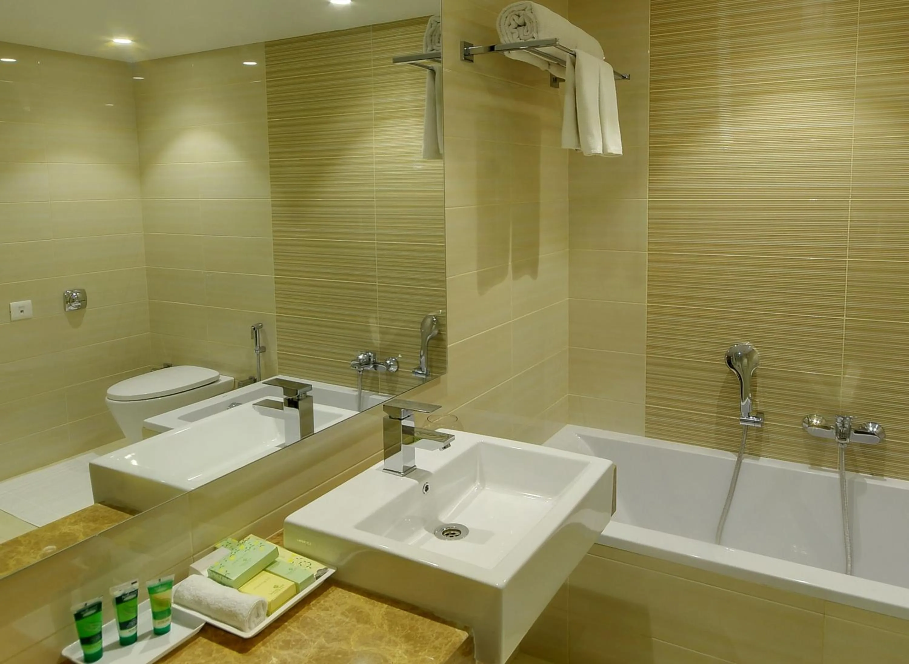 Bathroom in Lemon Tree Premier “The Atrium” Ahmedabad