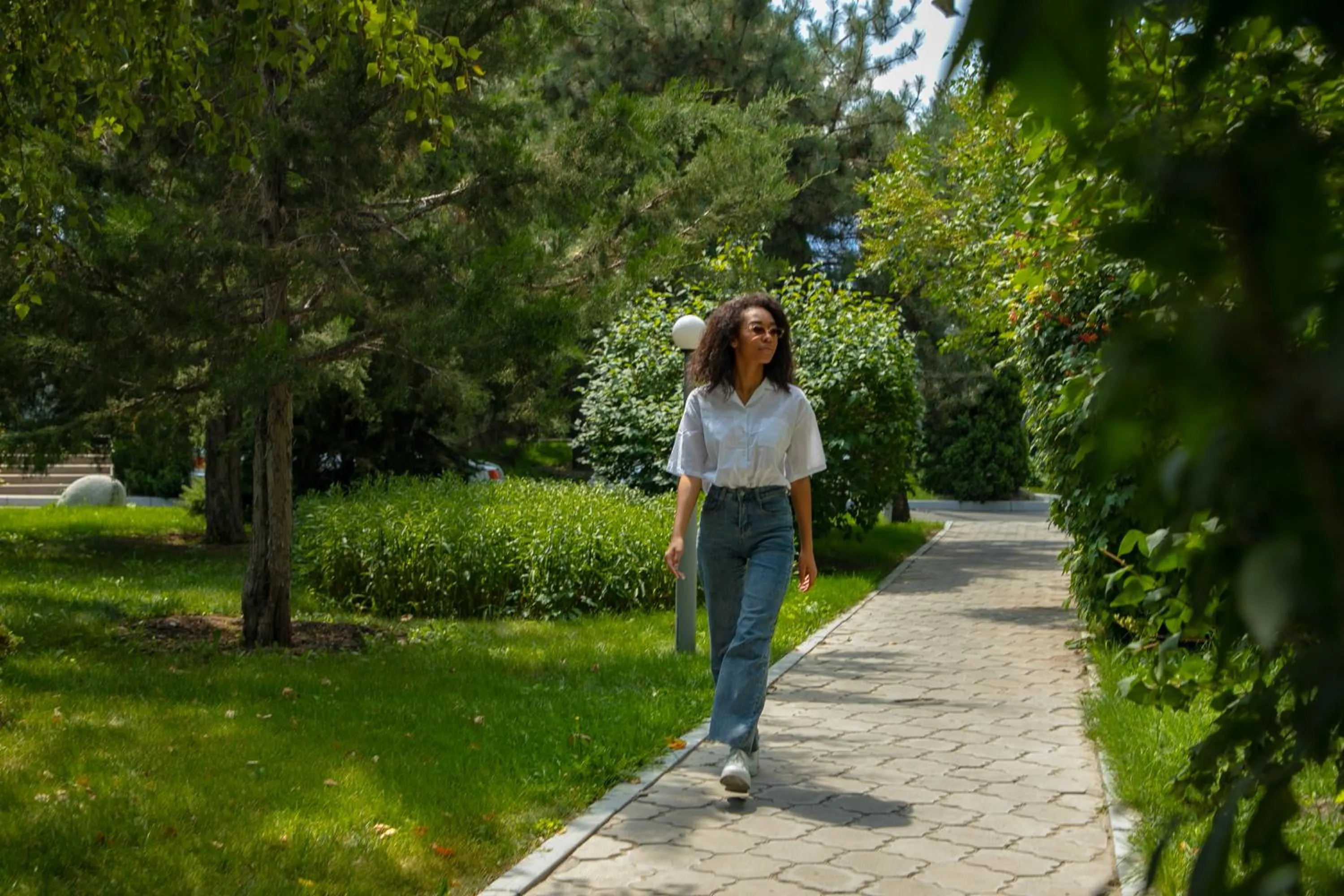 Area and facilities in Golden Dragon