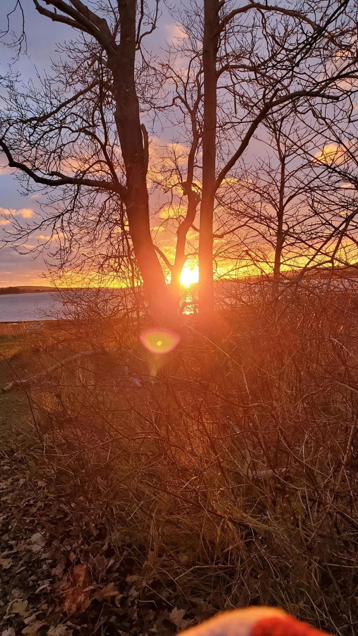 Sunset in The Lark & Loon Inn