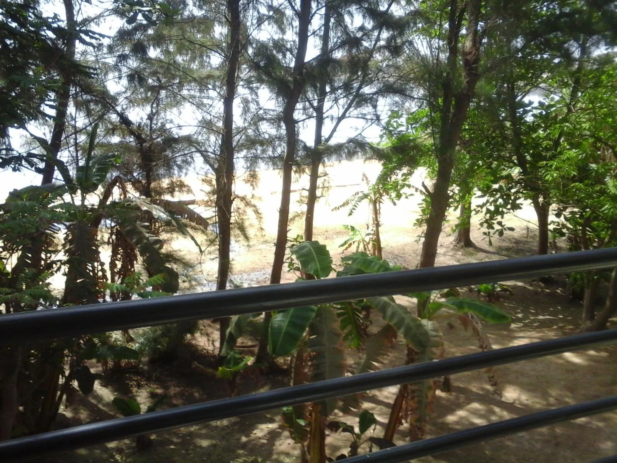 Garden in Hotel le Trarza