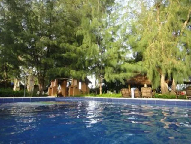 Swimming pool in Hotel le Trarza