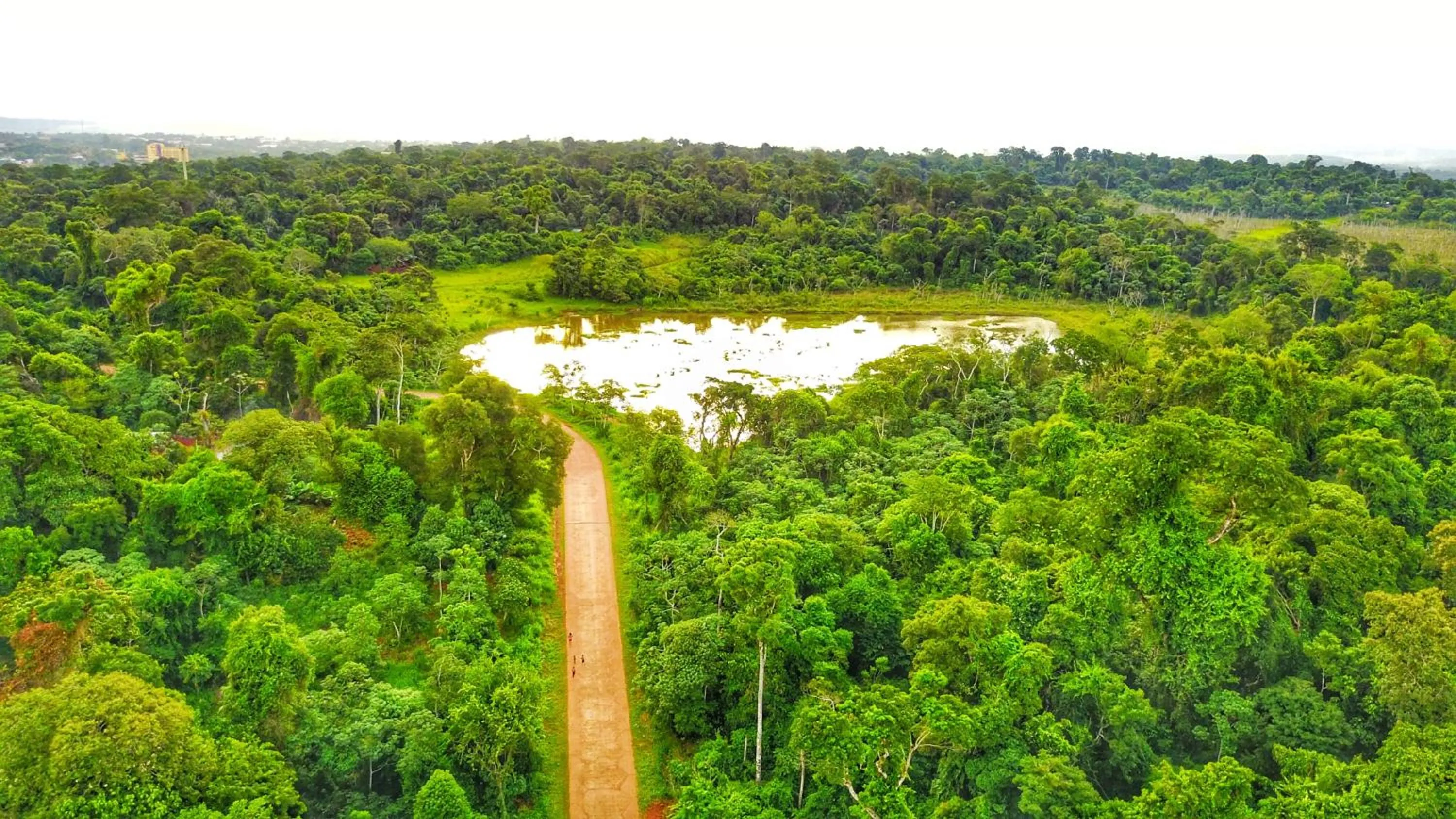 Natural landscape in Hotel Carmen