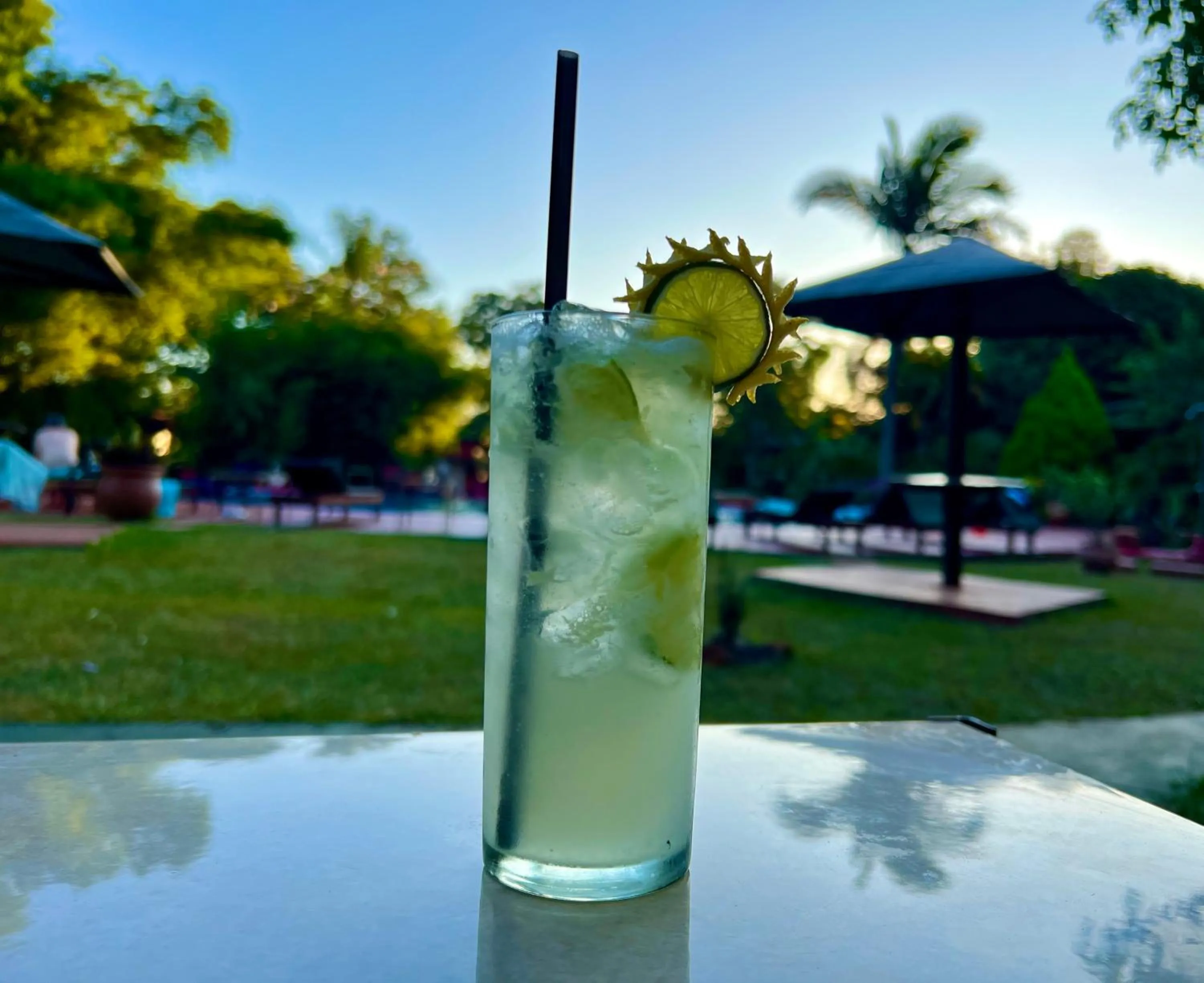 Natural landscape in Hotel Carmen