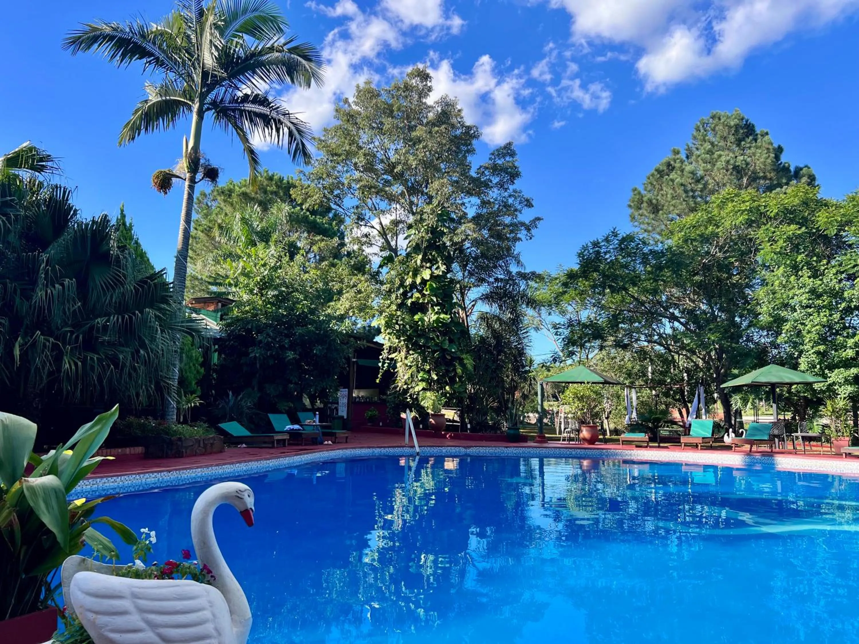 Swimming pool in Hotel Carmen
