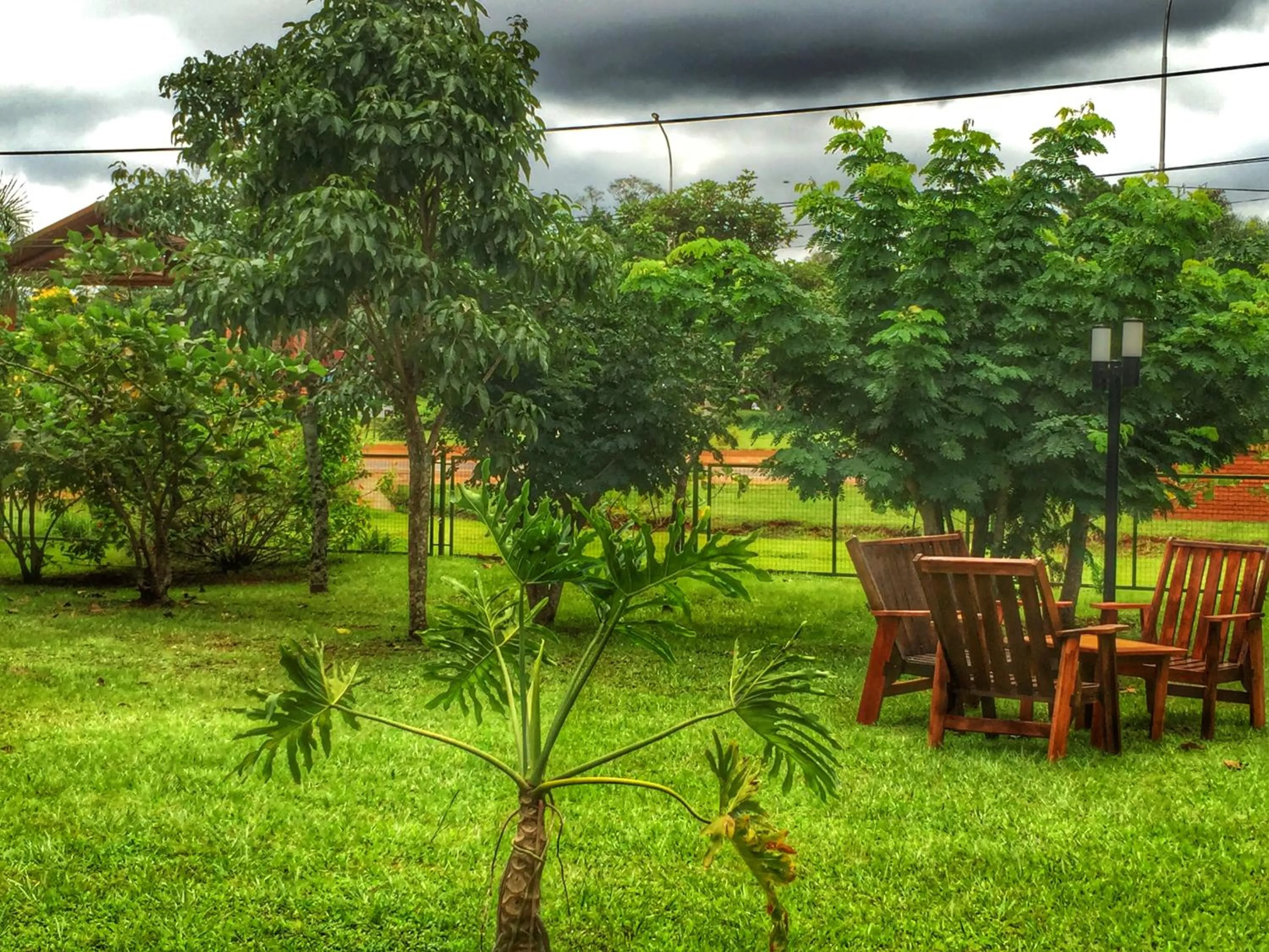 Patio in Hotel Carmen