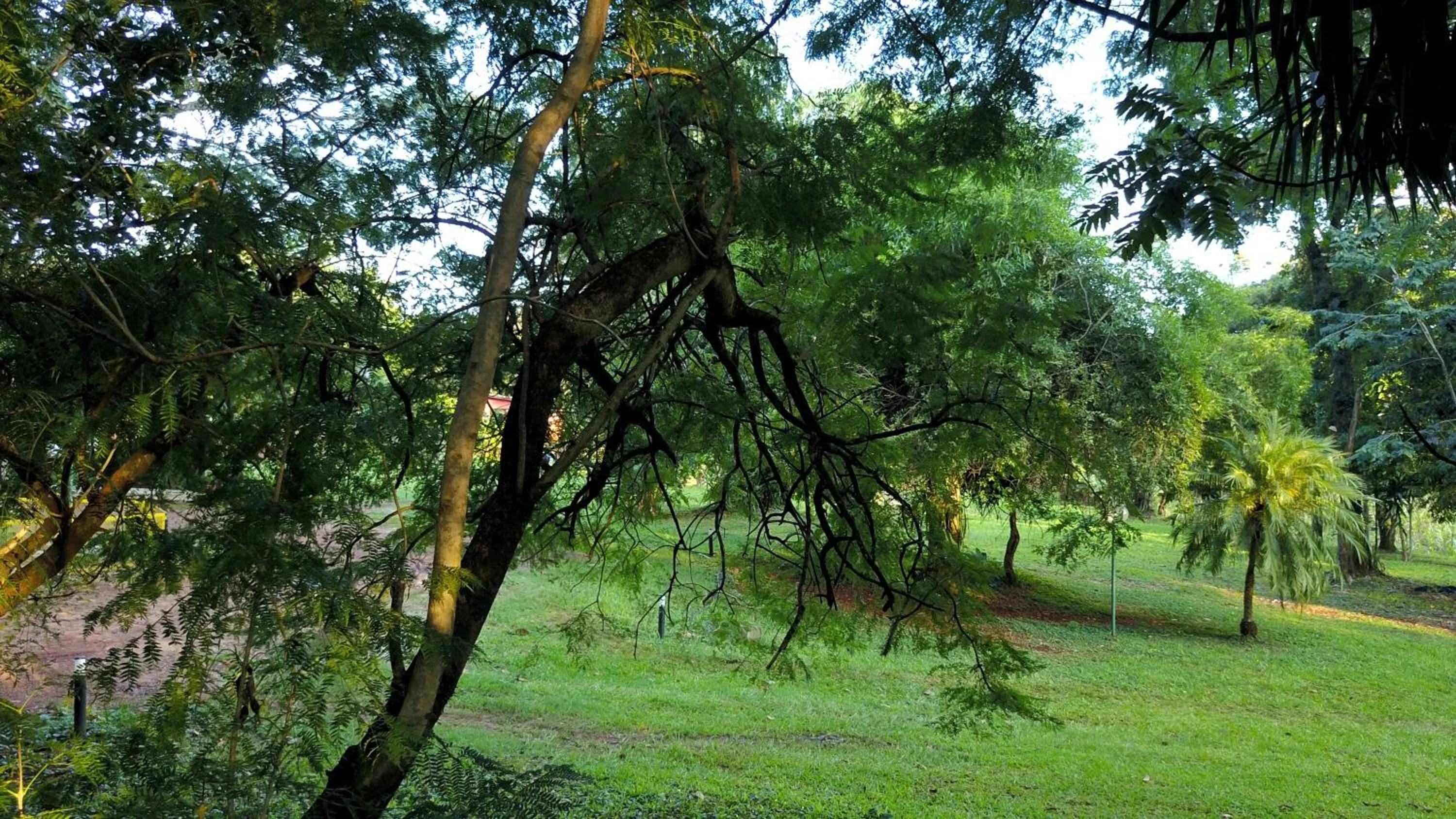 Garden in Hotel Carmen