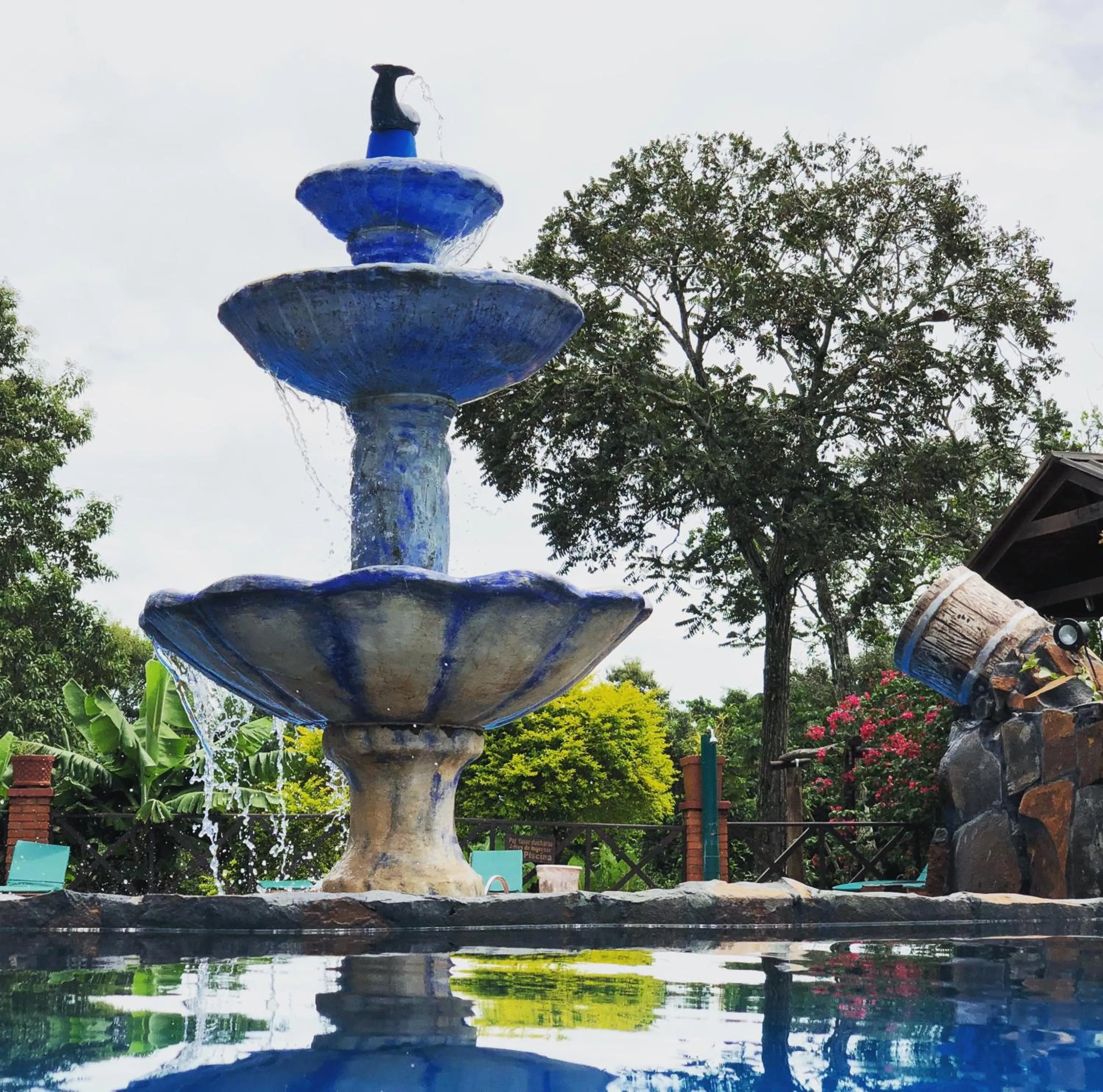 Swimming pool in Hotel Carmen