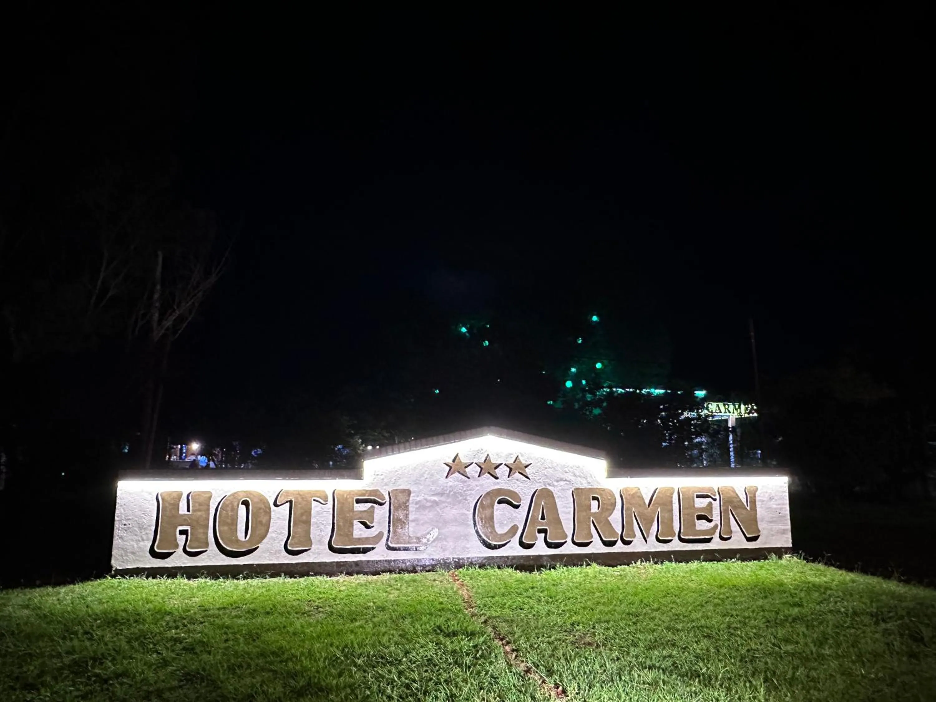 Property logo or sign in Hotel Carmen