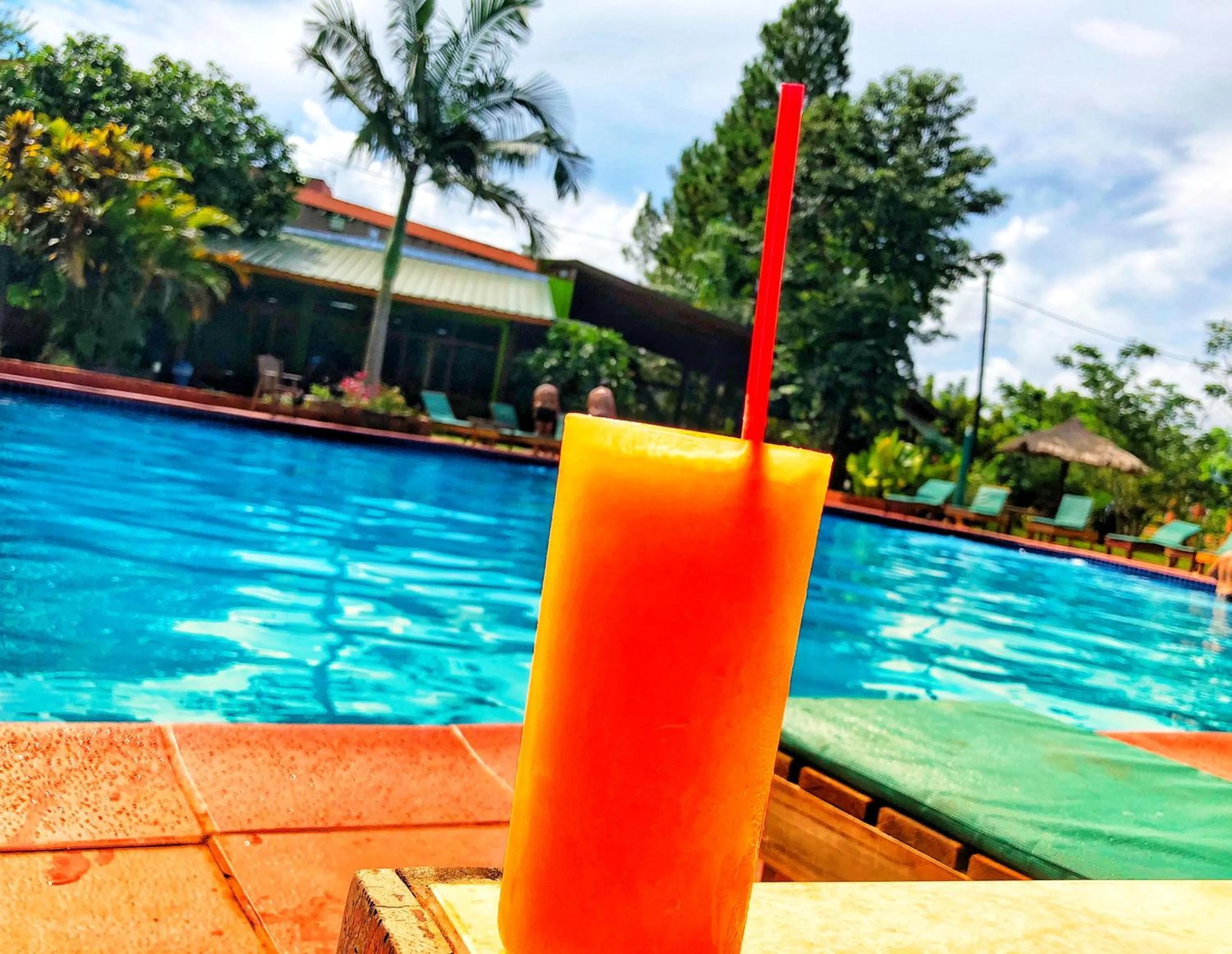 Lounge or bar in Hotel Carmen