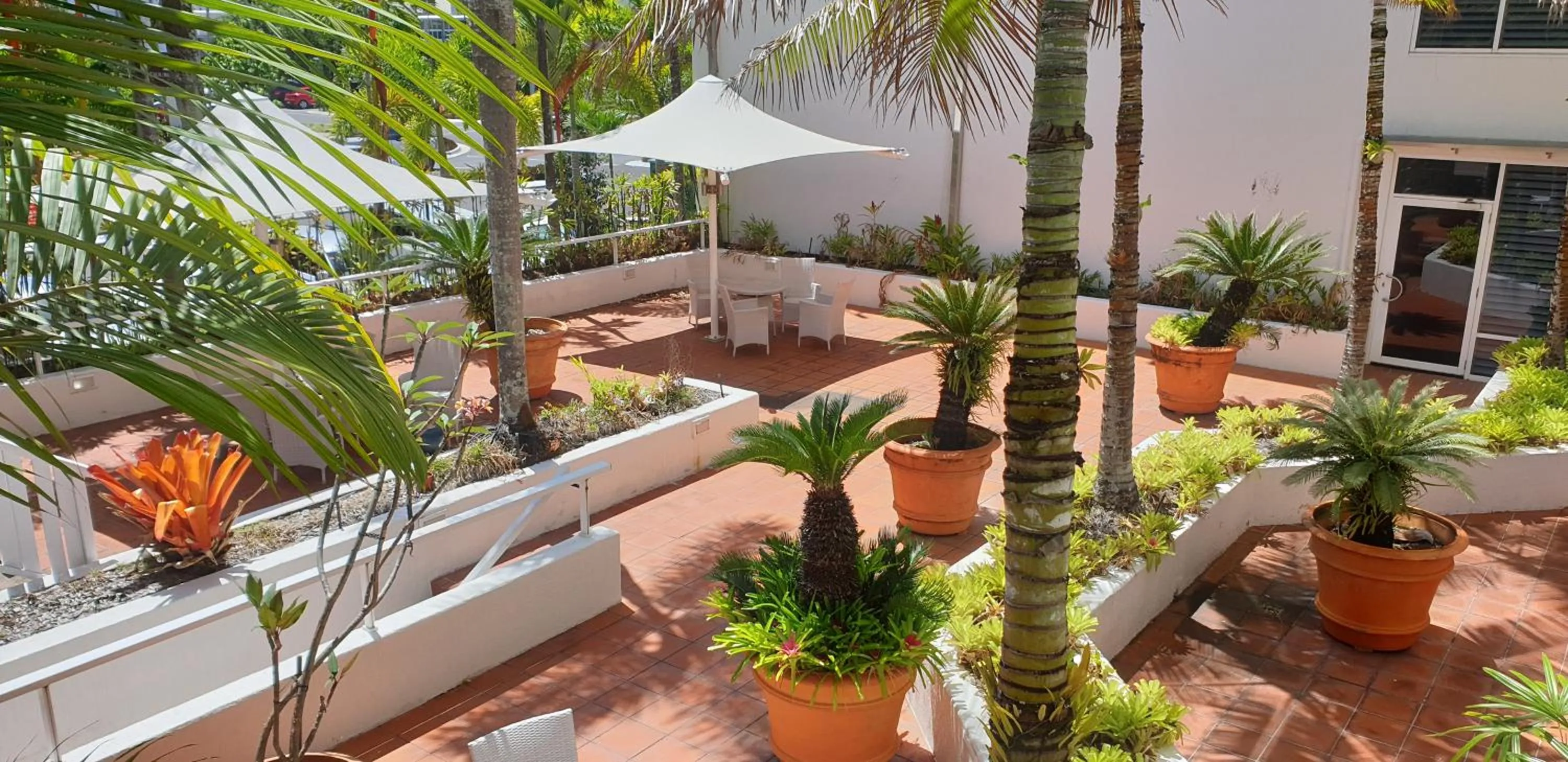 Garden in Ramada By Wyndham Cairns City Centre