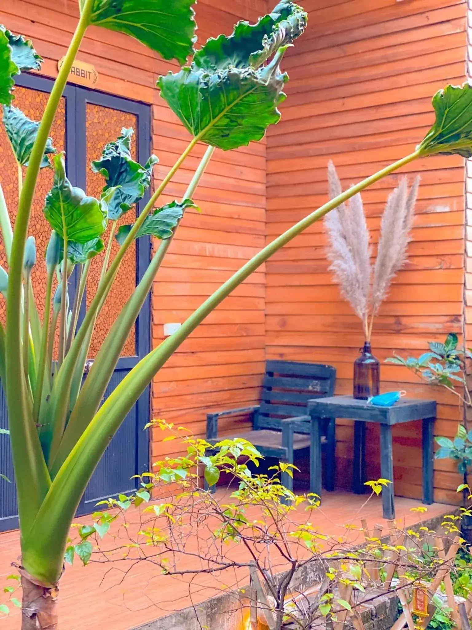 Deluxe Bungalow in Golden Jungle House Deluxe Bungalow in Golden Jungle House