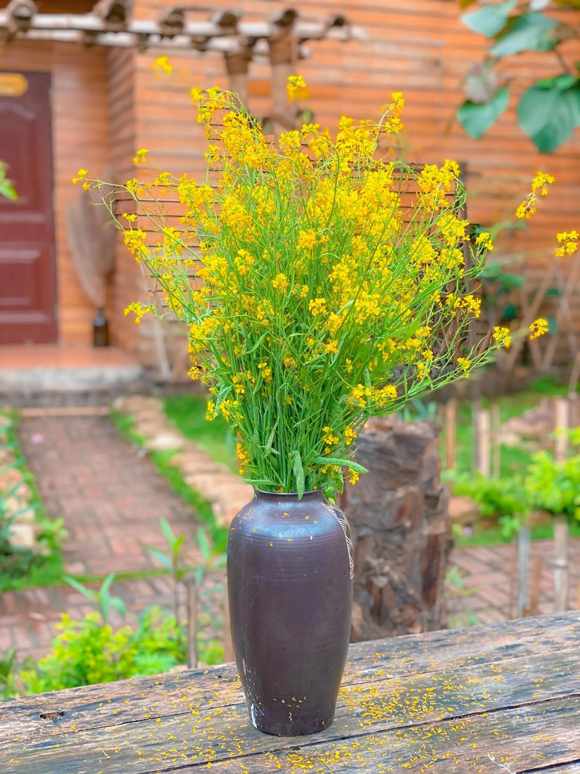 Patio in Golden Jungle House