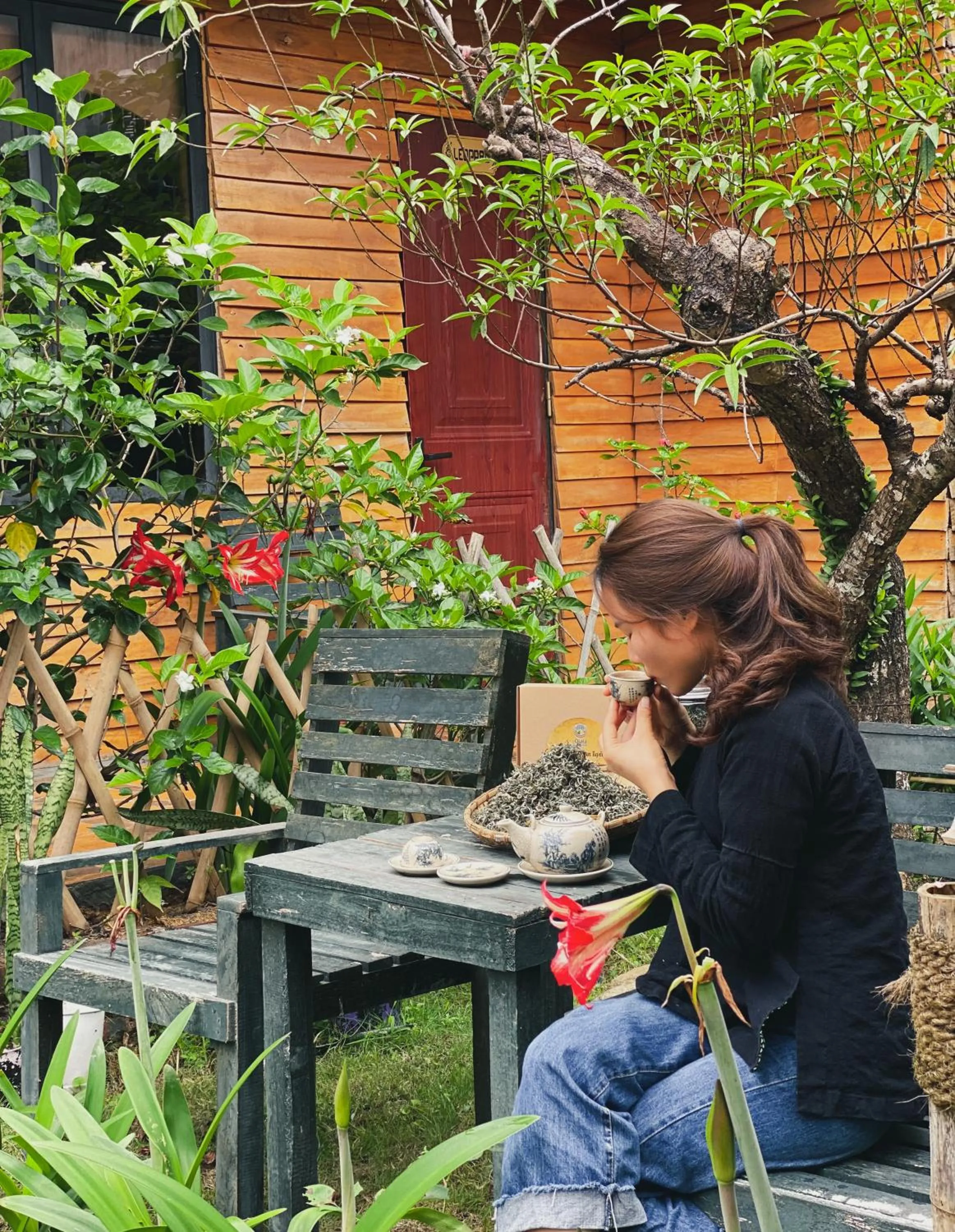 Patio in Golden Jungle House