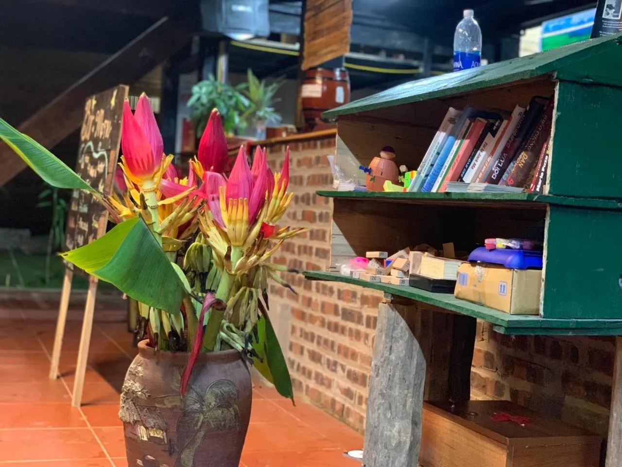 Garden in Golden Jungle House