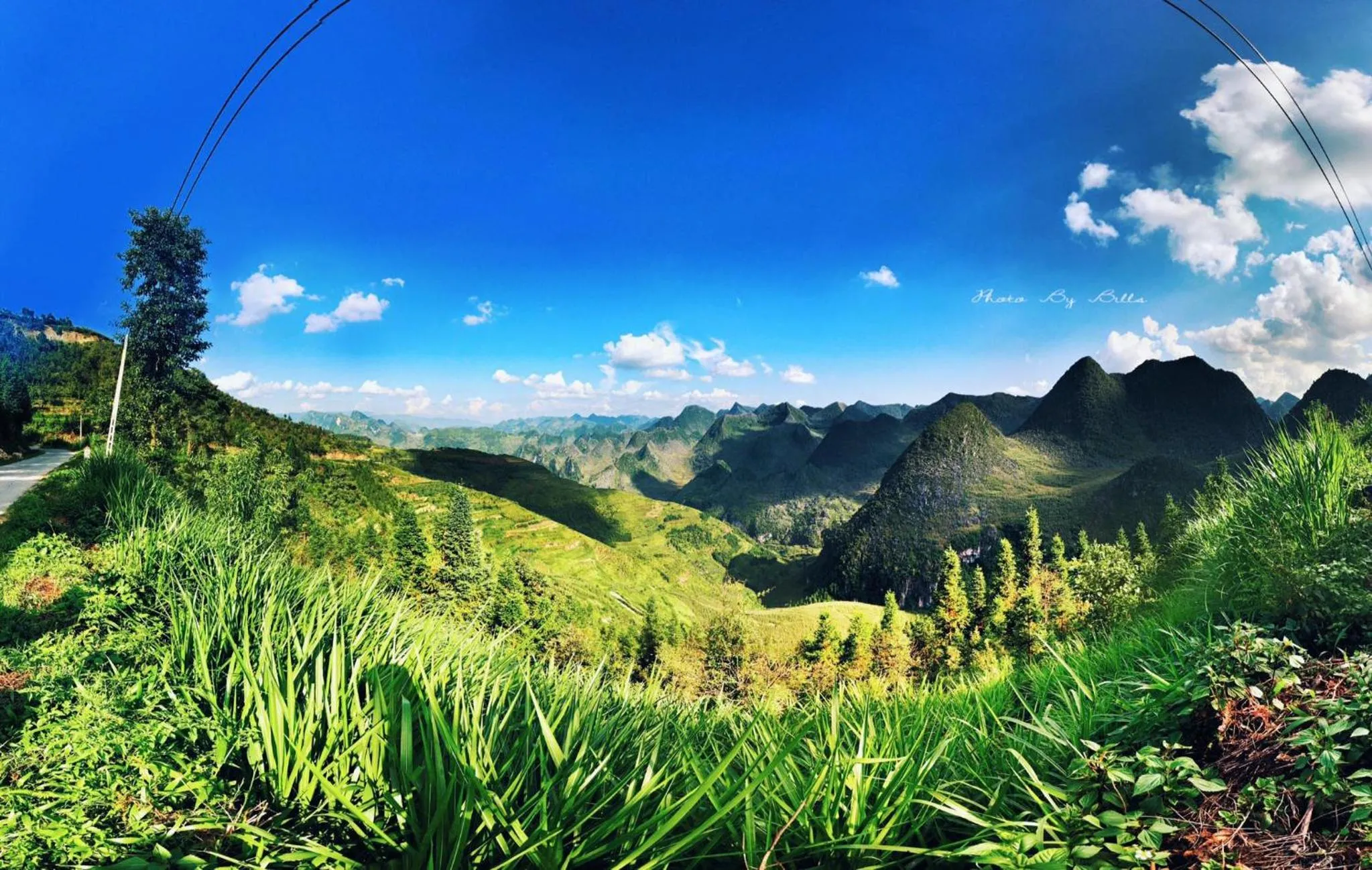 Natural landscape in Golden Jungle House