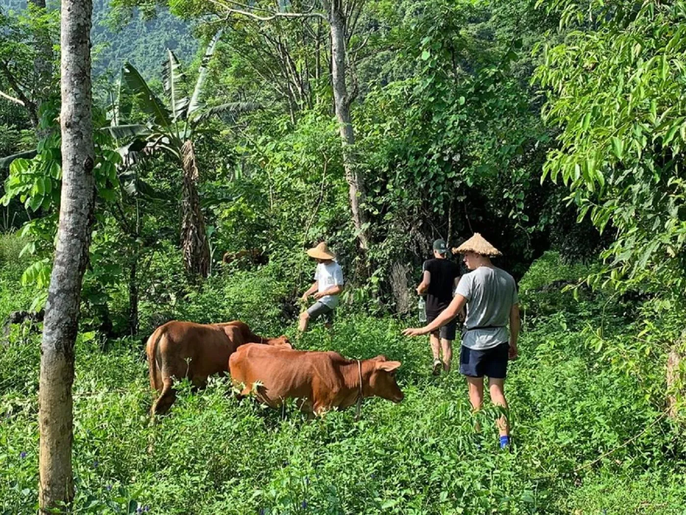 Animals in Golden Jungle House