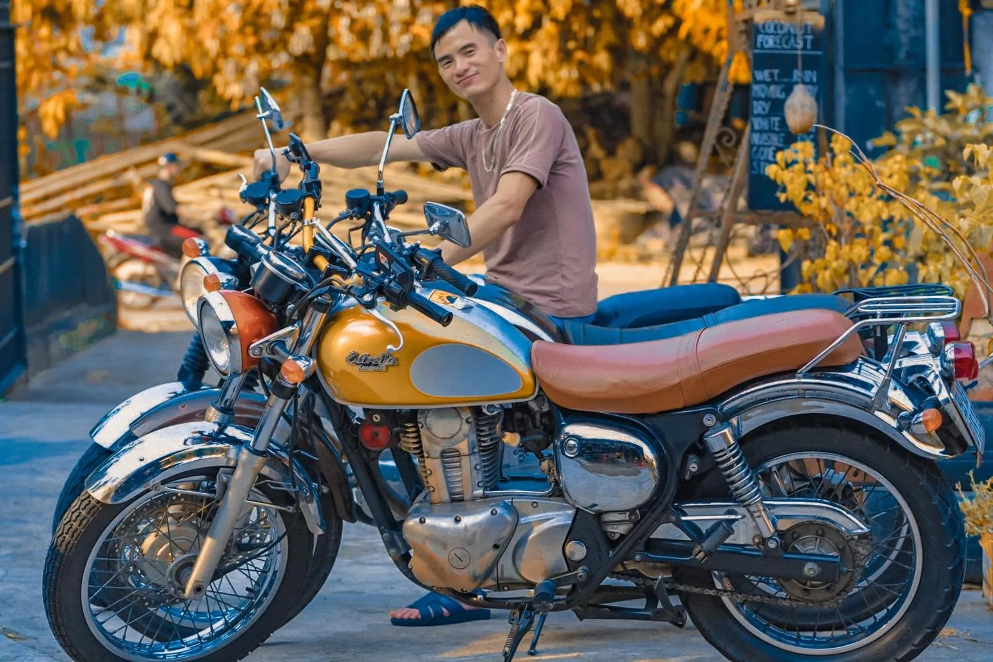 Cycling in Golden Jungle House