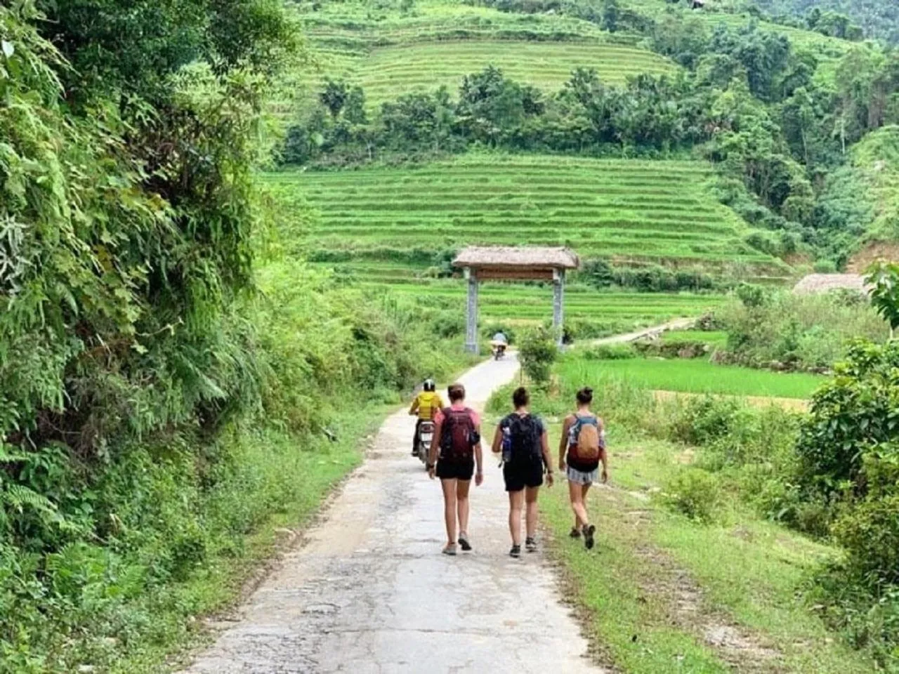 Natural landscape in Golden Jungle House