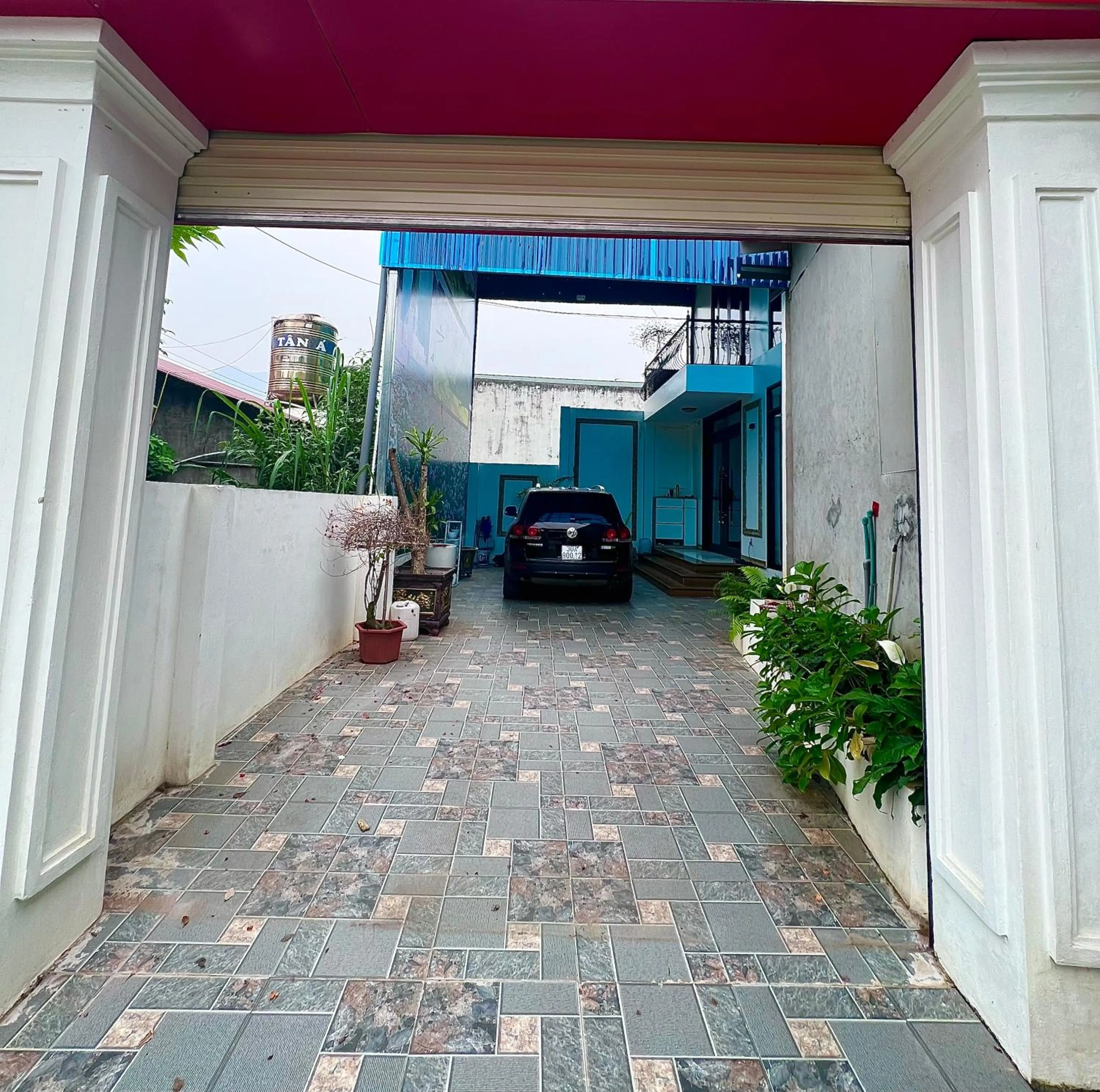 Day in Golden Jungle House