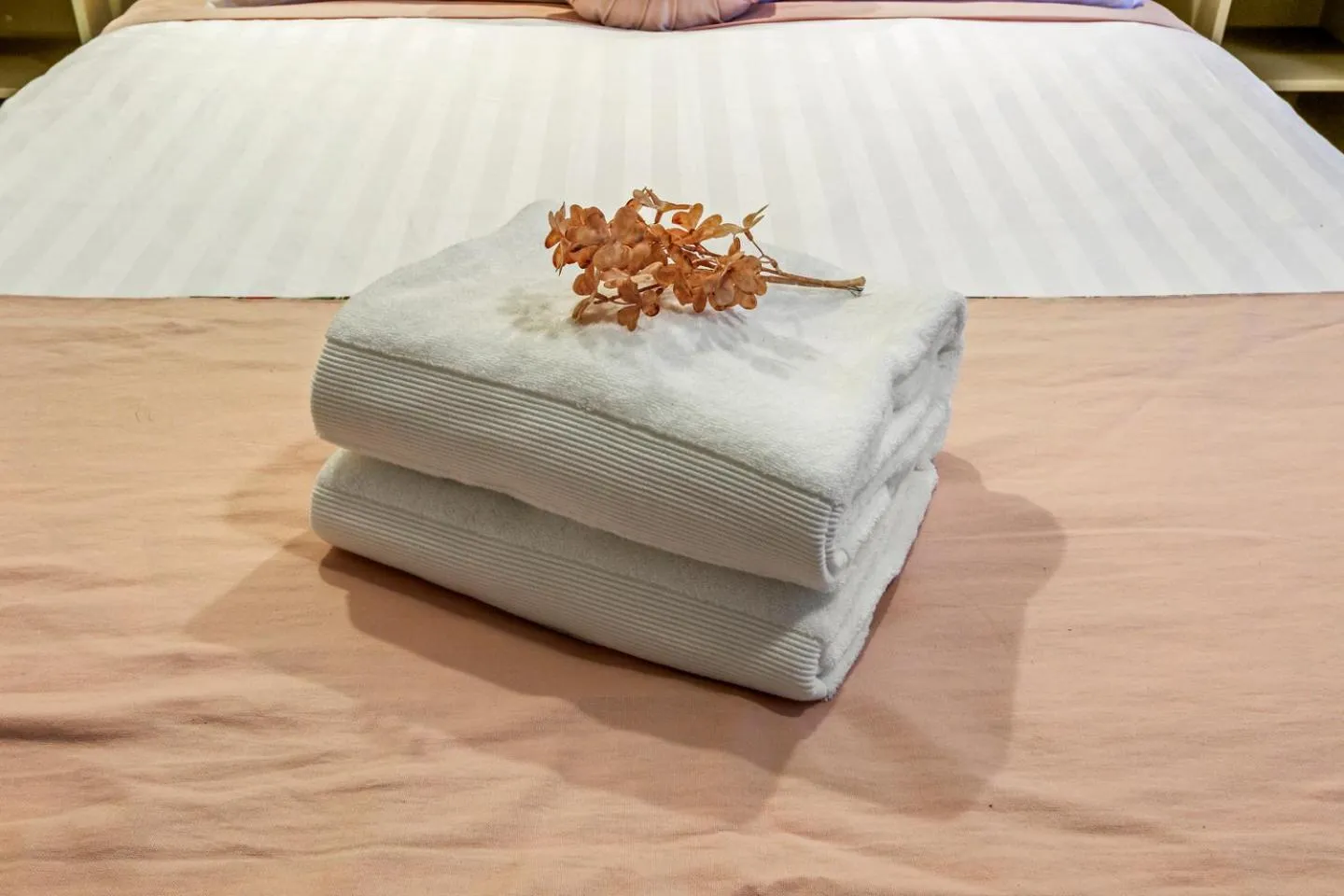 Bed in Sandbar Motel