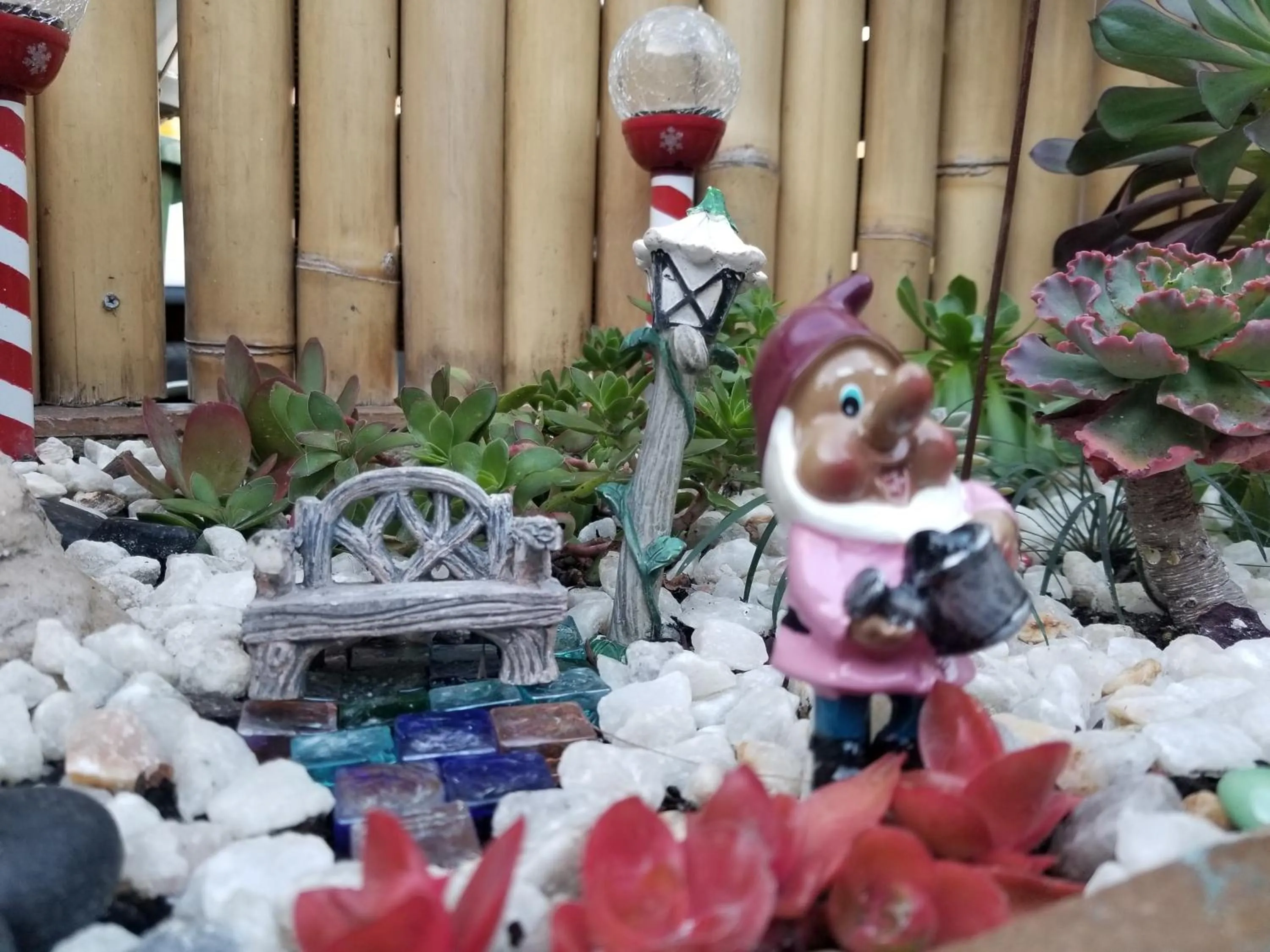 Garden in Sandbar Motel