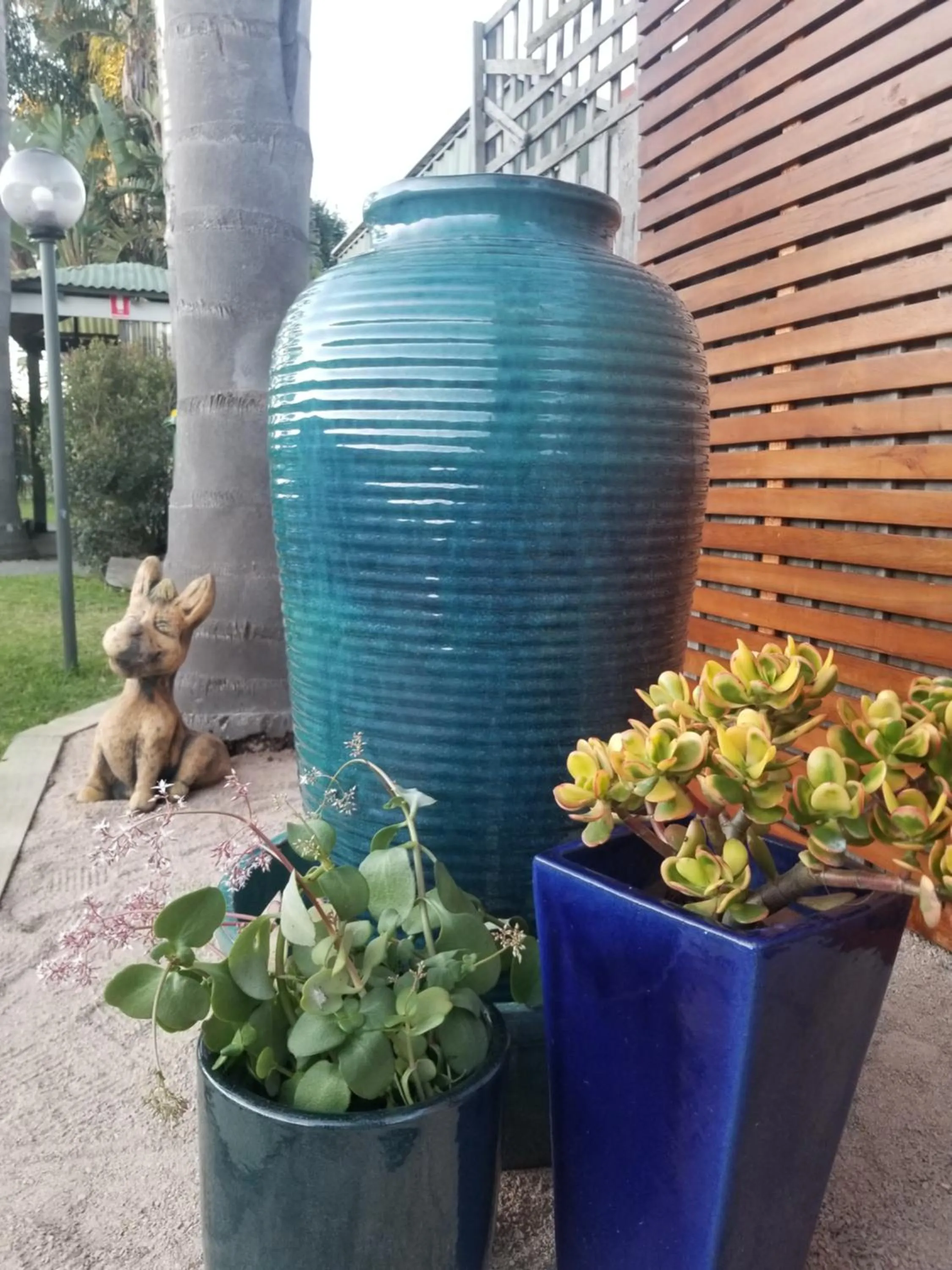 Garden in Sandbar Motel