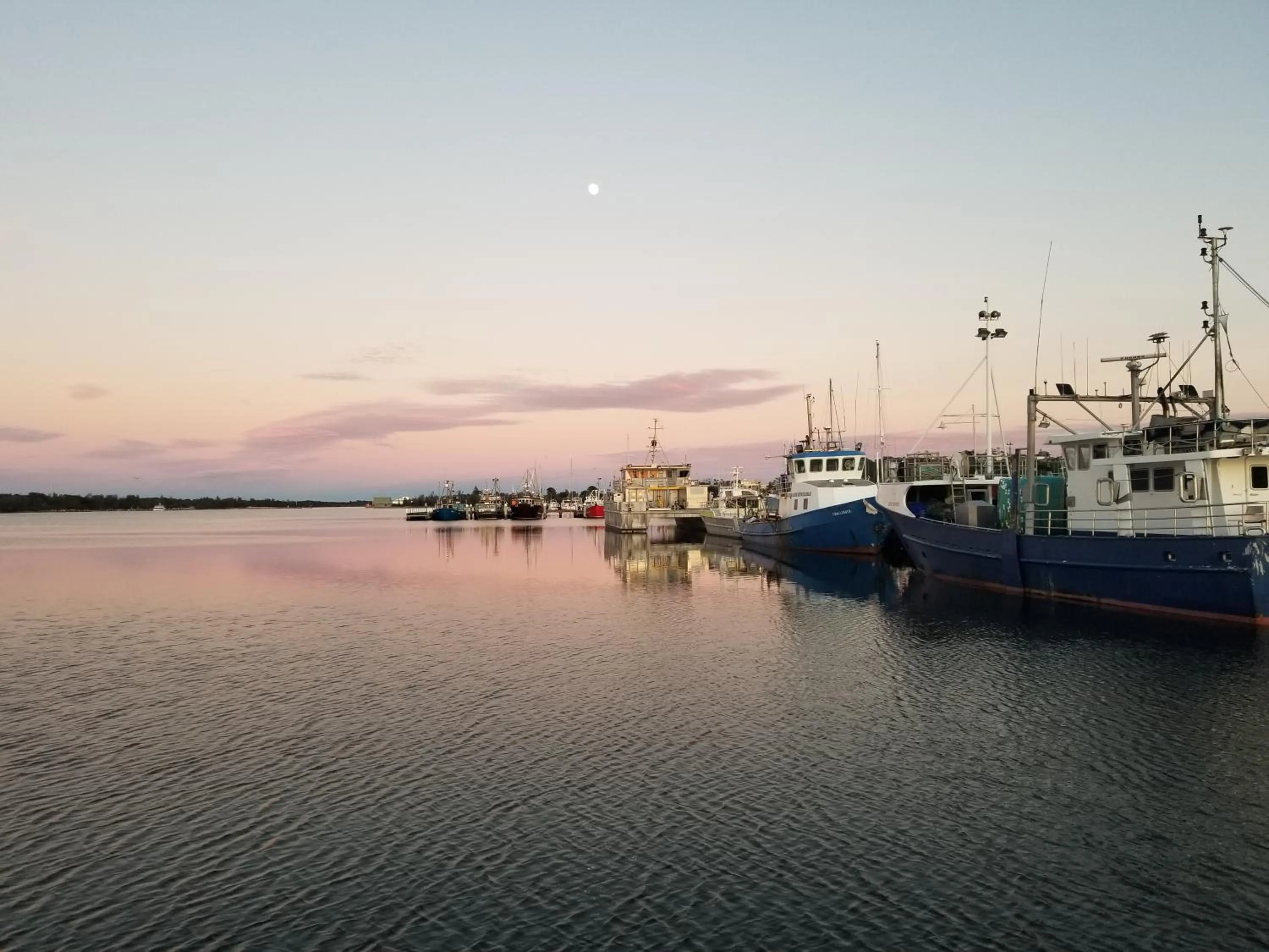 Natural landscape in Sandbar Motel