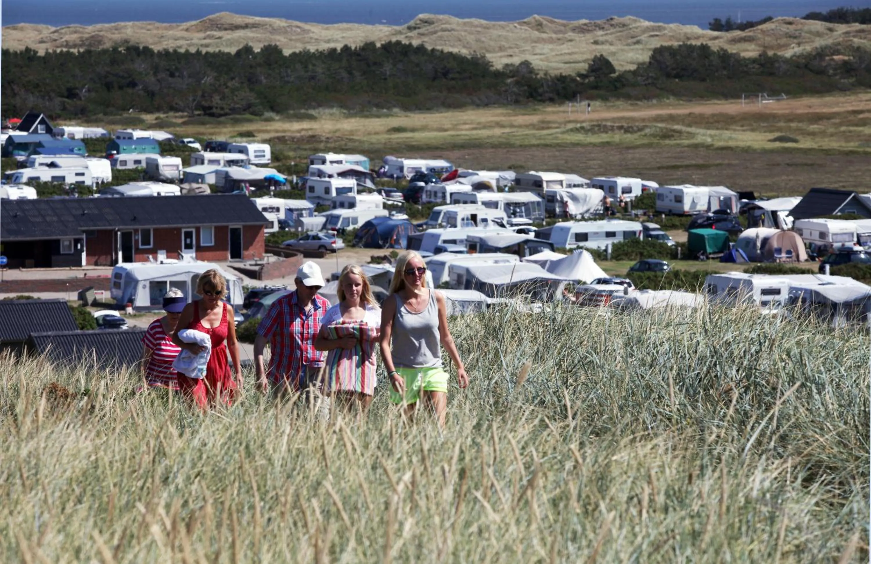 Natural landscape in Hvide Sande Beach Apartments