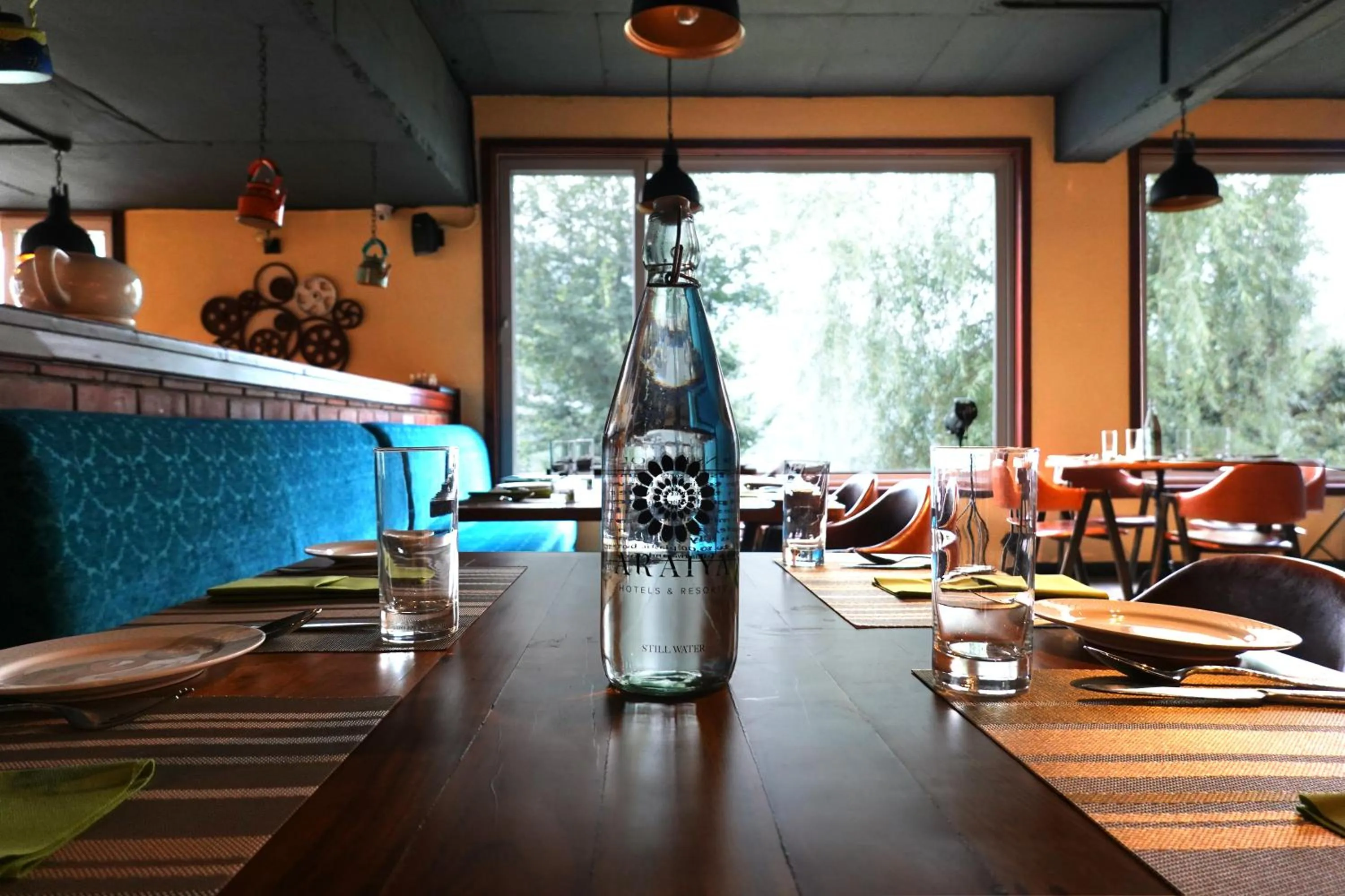 Day in Araiya Palampur