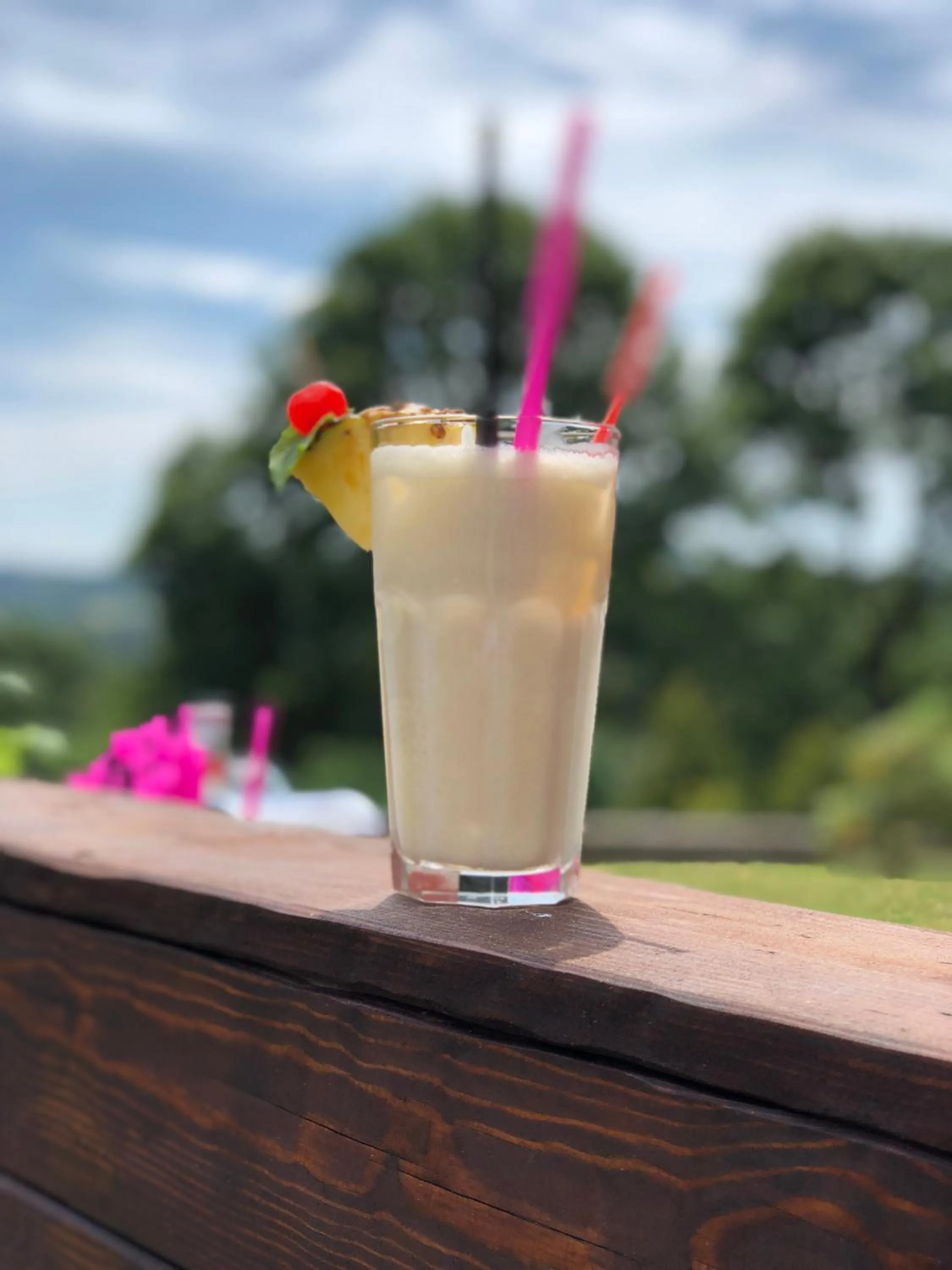 Drinks in Wellness Hotel Zámeček