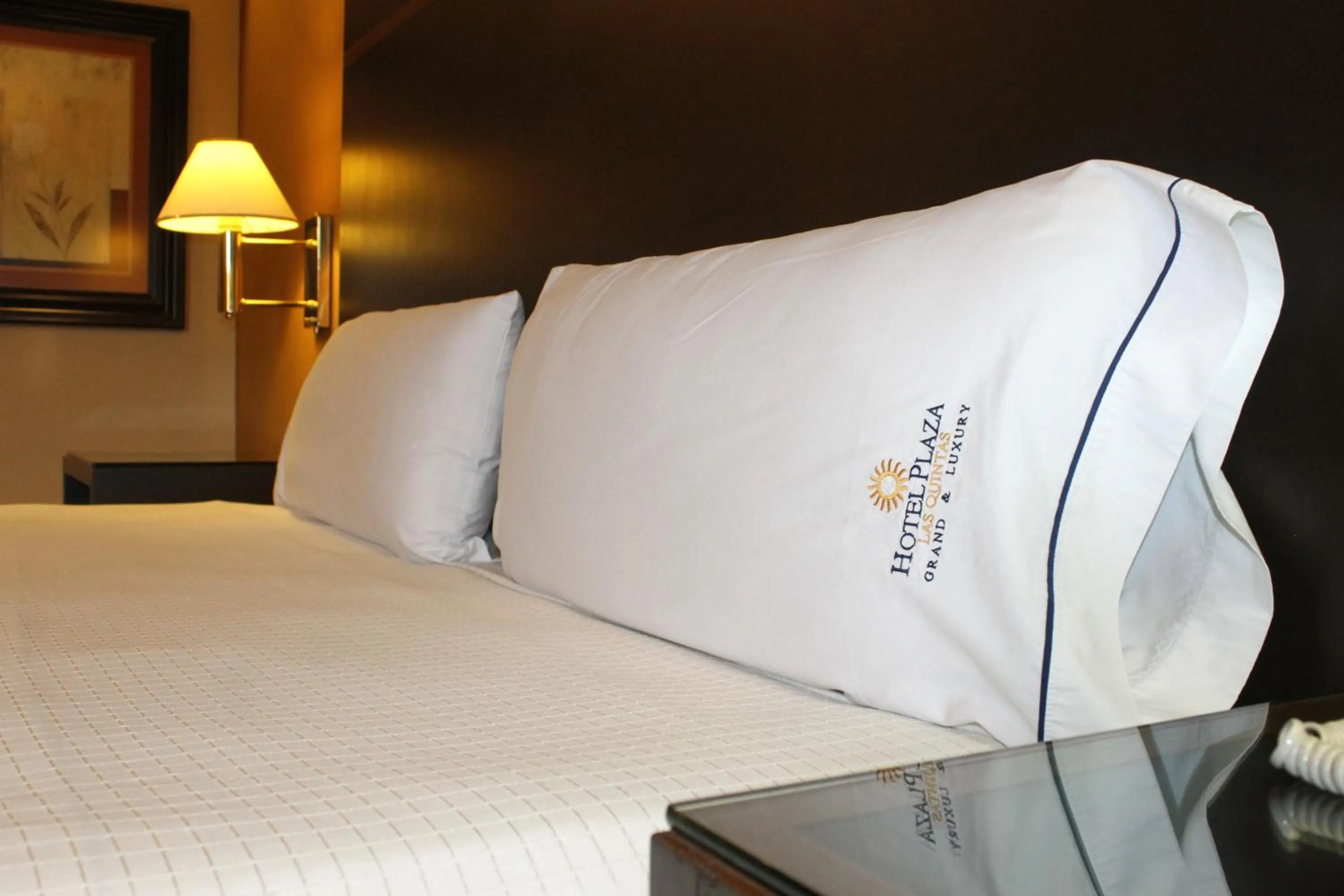 Bed in Hotel Plaza las Quintas