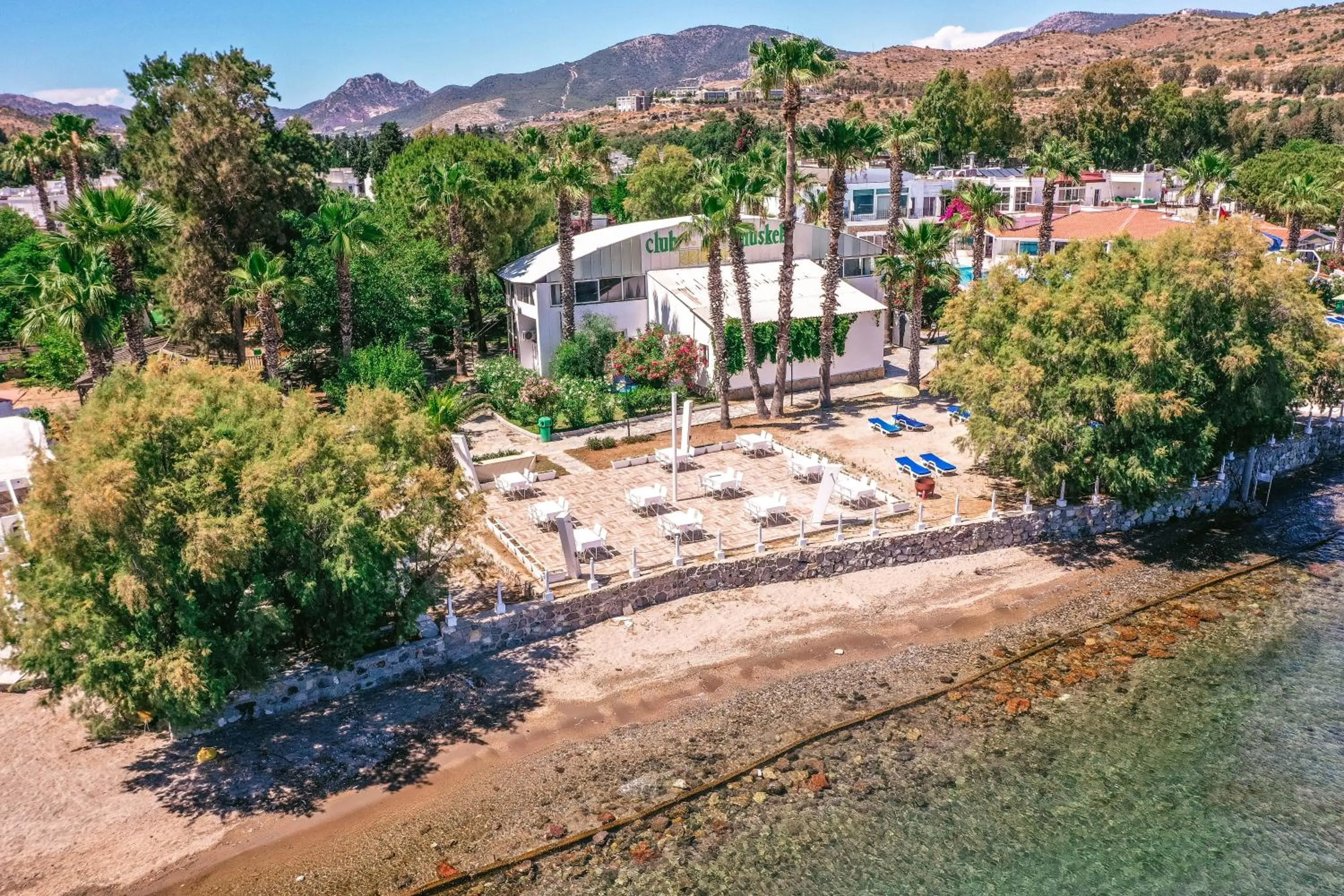 Bird's eye view in Club Muskebi