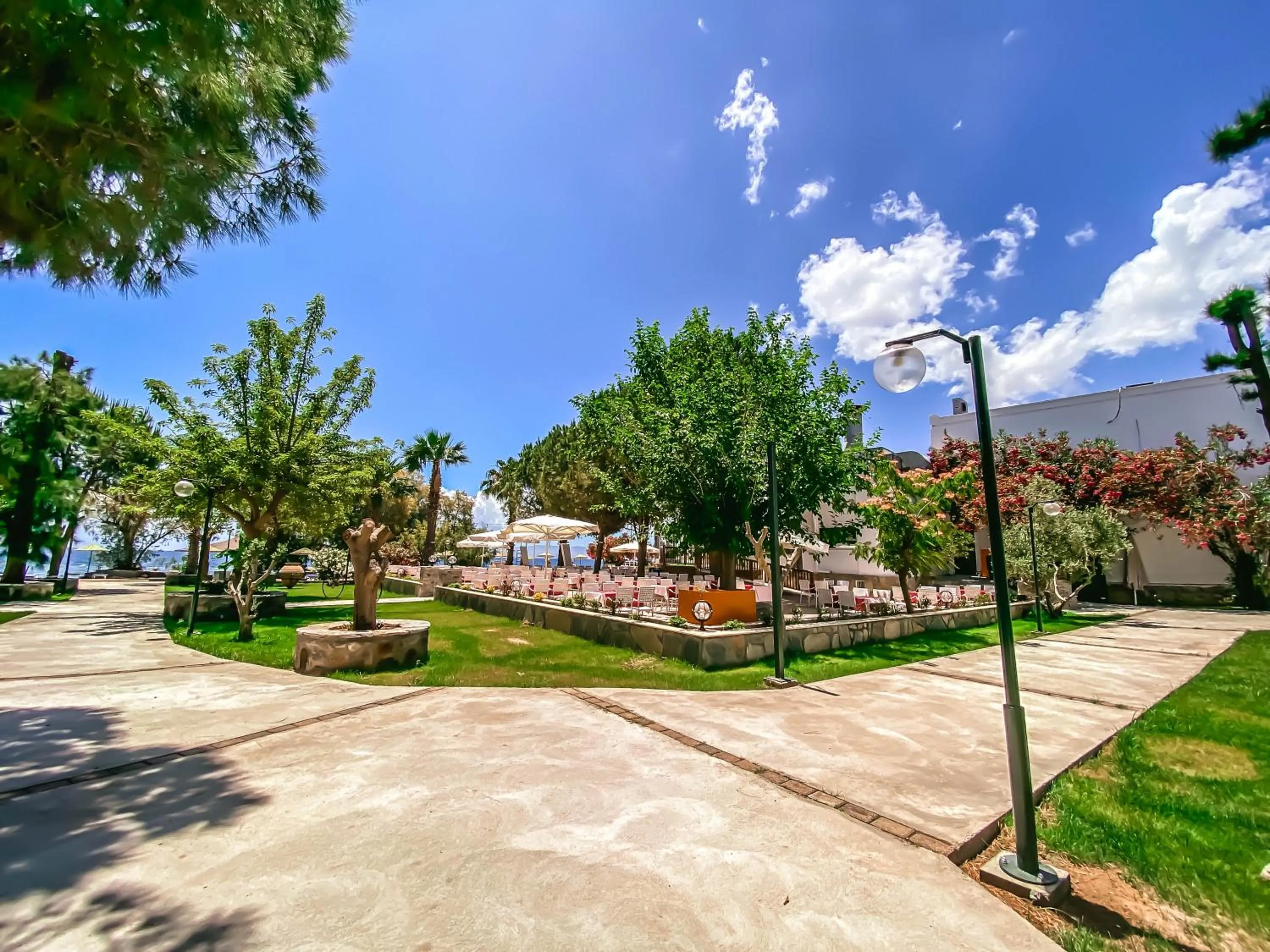 Garden in Club Muskebi