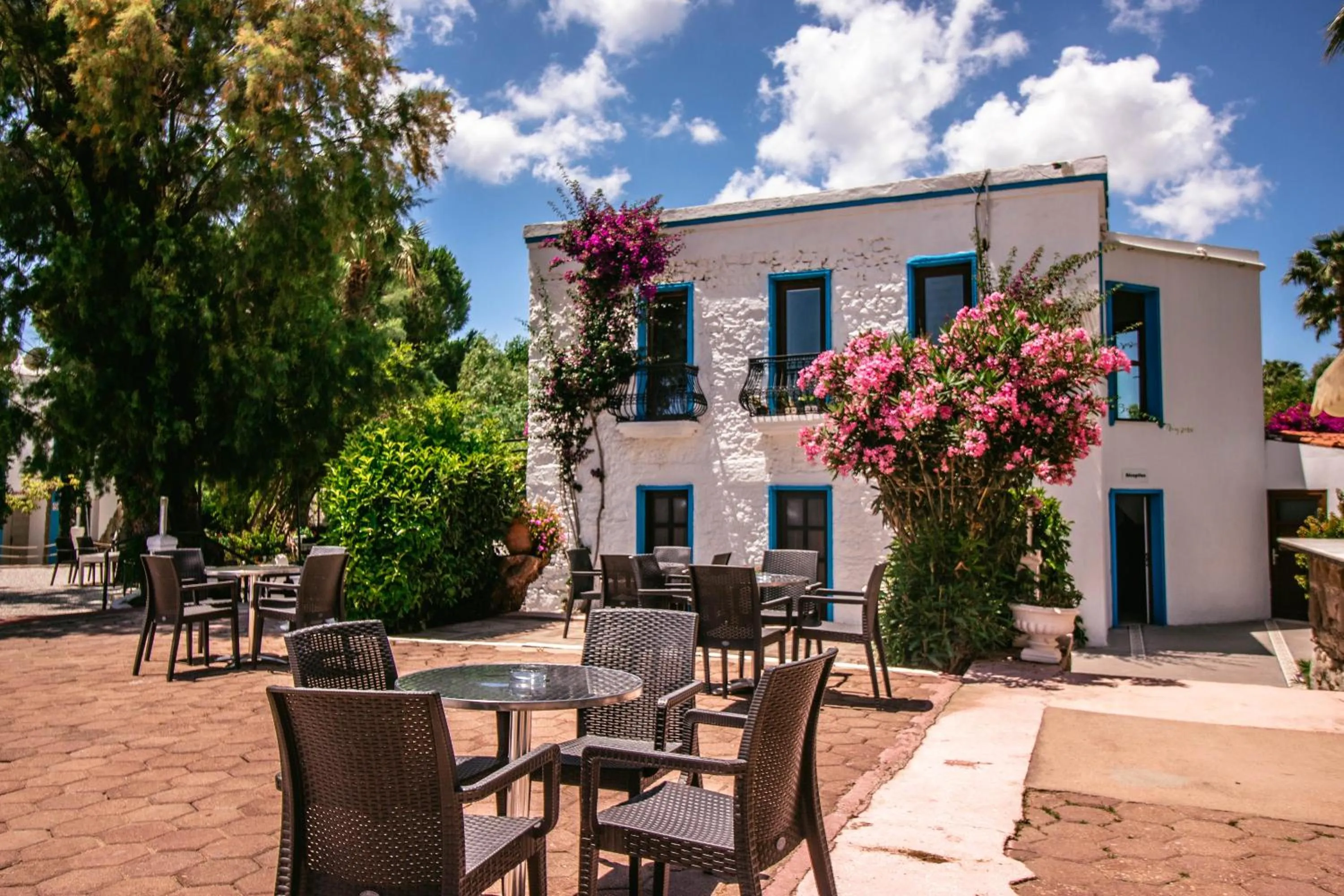 Property building in Club Muskebi