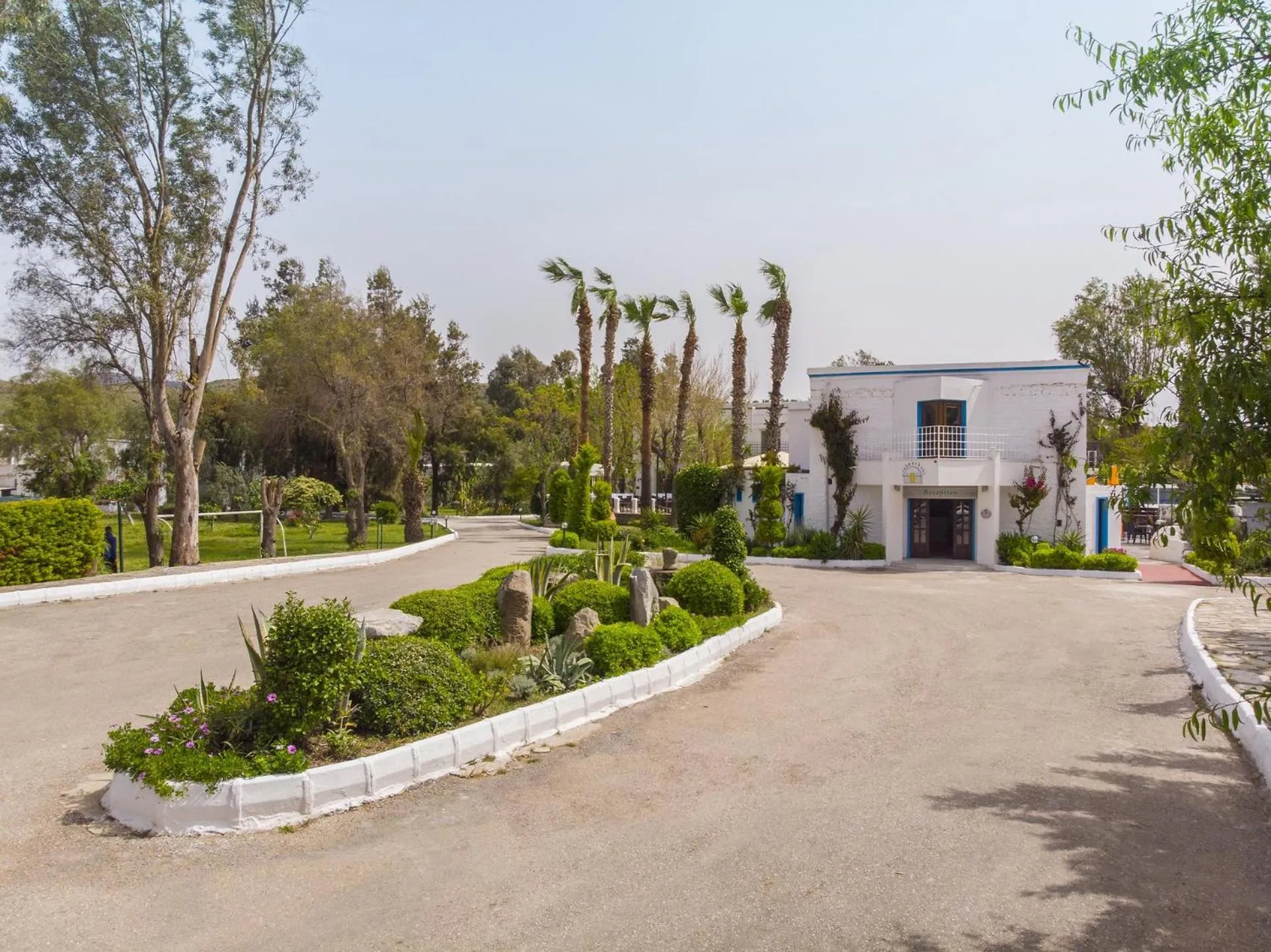 Property building in Club Muskebi