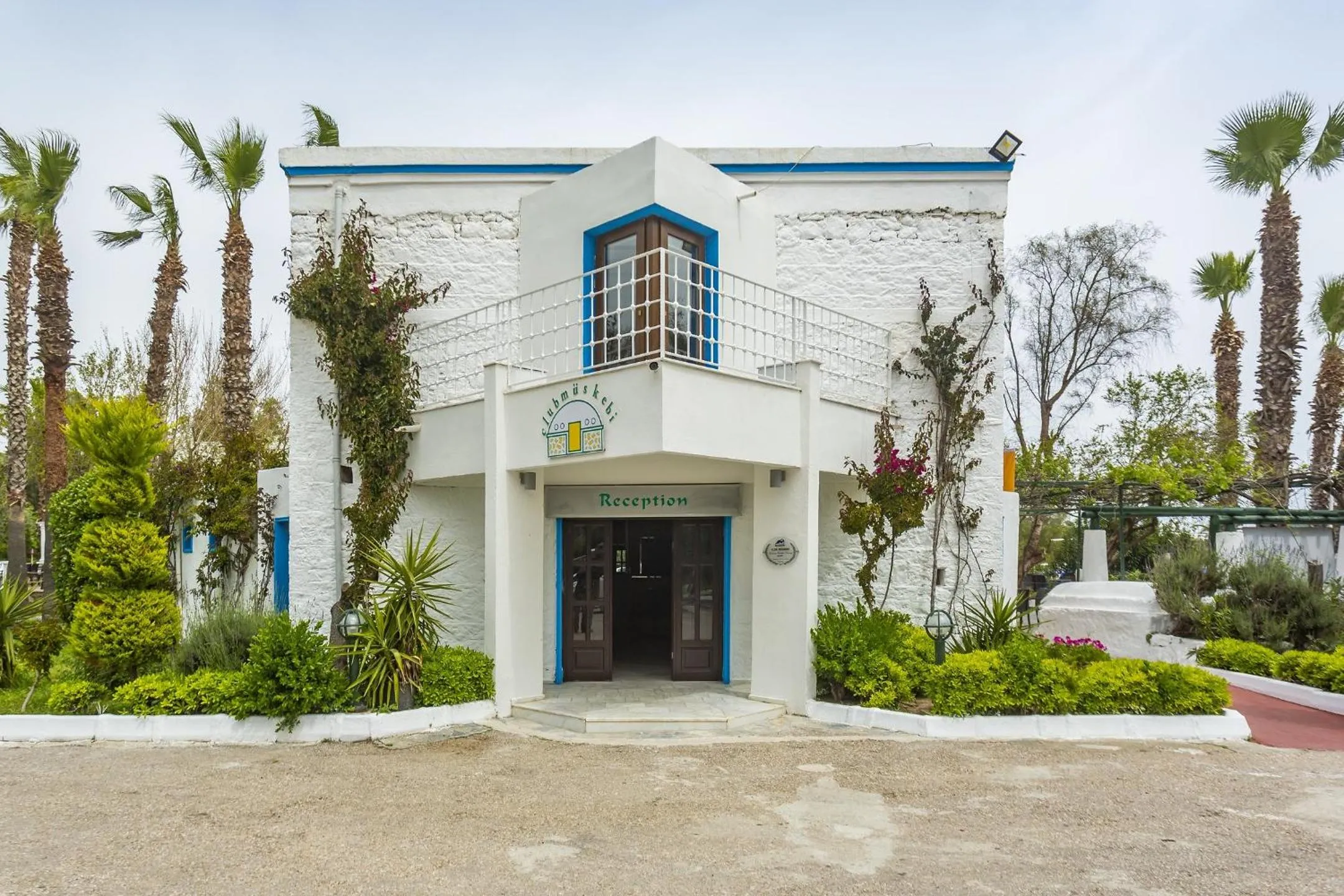 Property building in Club Muskebi