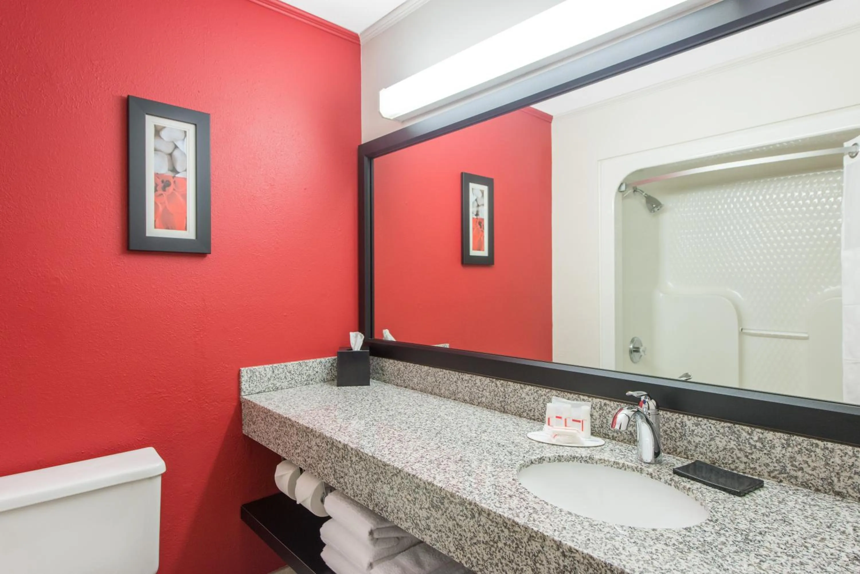 Bathroom in Ramada by Wyndham Springfield North