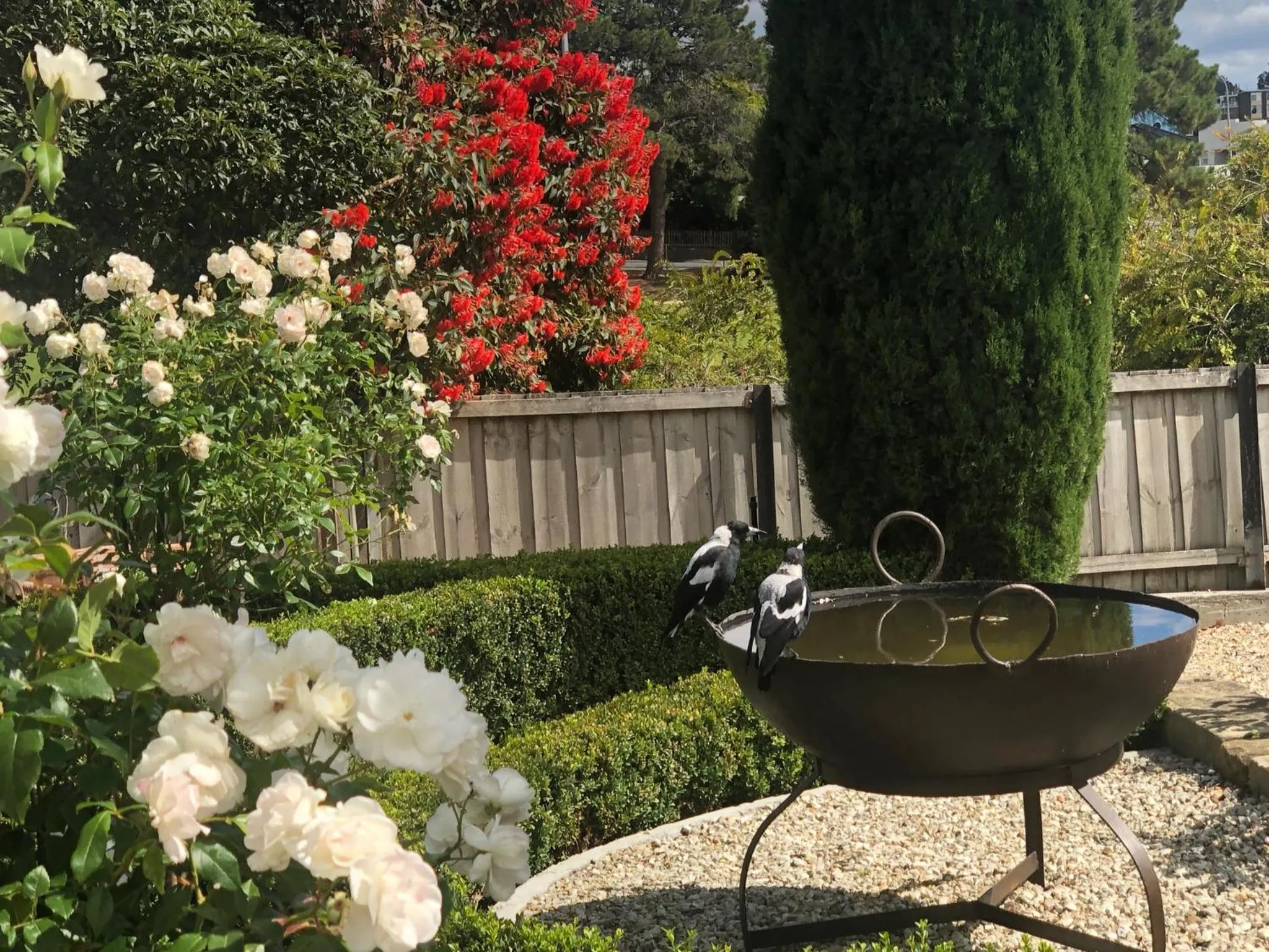 Garden in The Rivulet