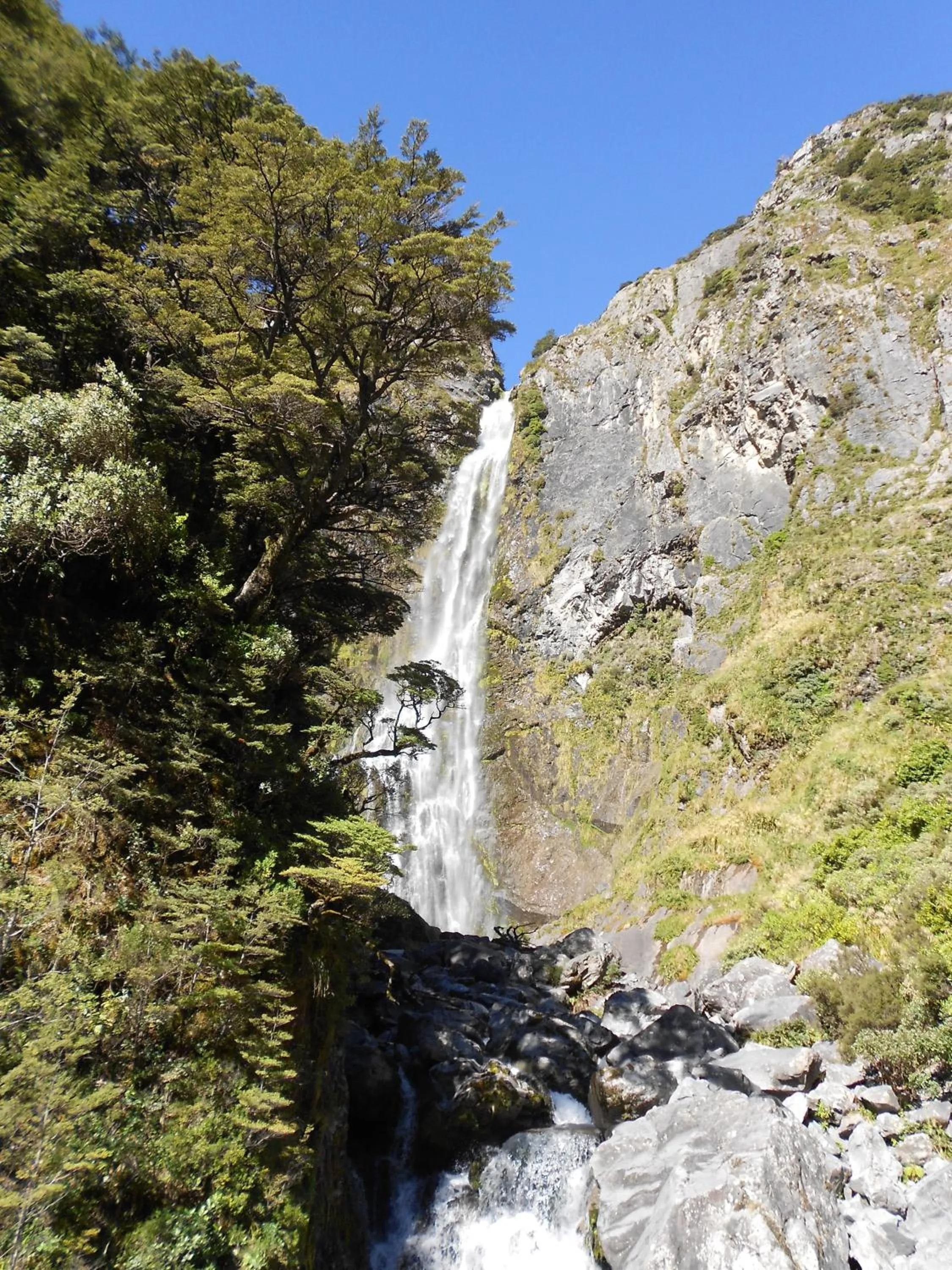 Nearby landmark in Arthur's Pass Alpine Motel