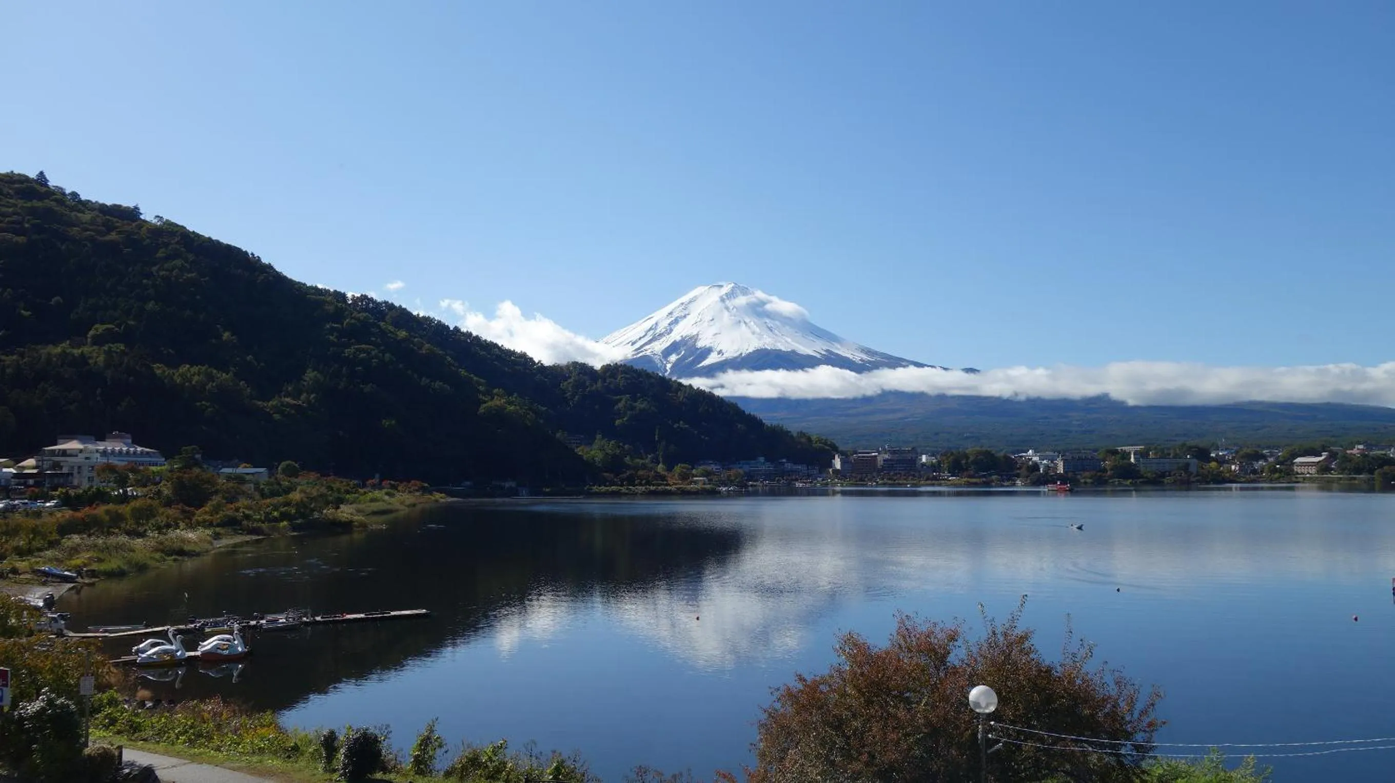 View (from property/room) in Hotel New Century