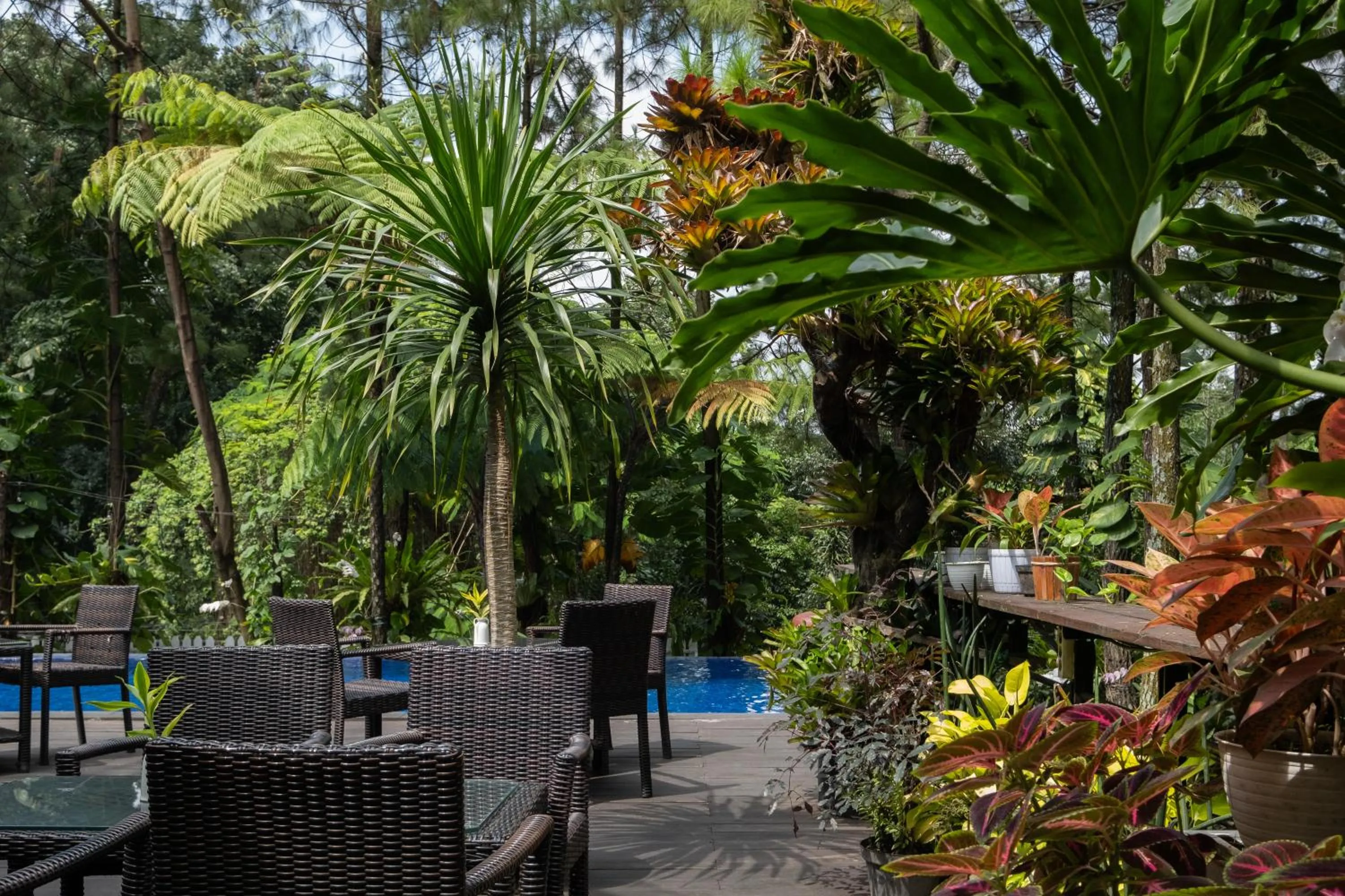 Swimming pool in House Sangkuriang