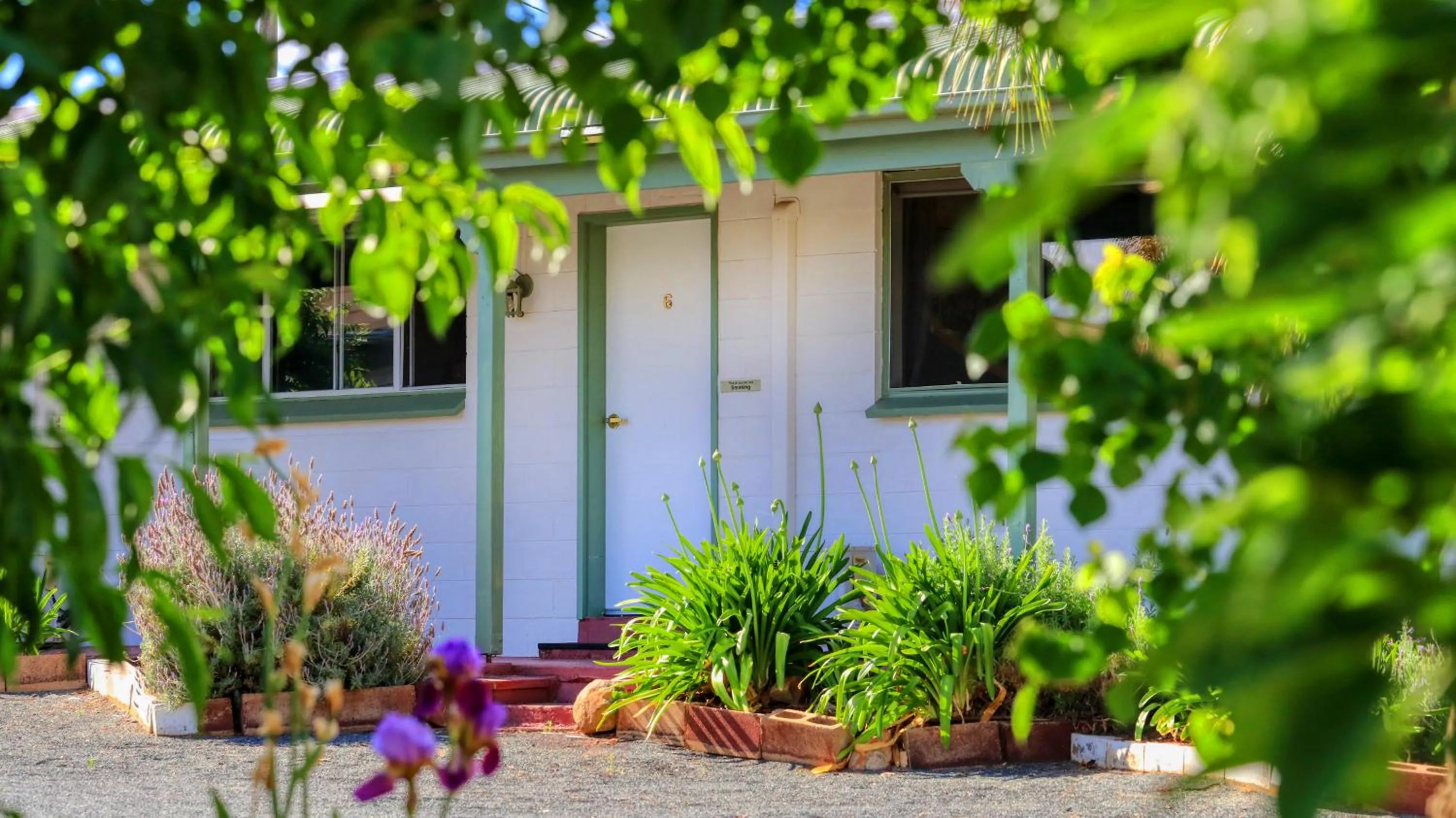 Garden in Oasis Motel