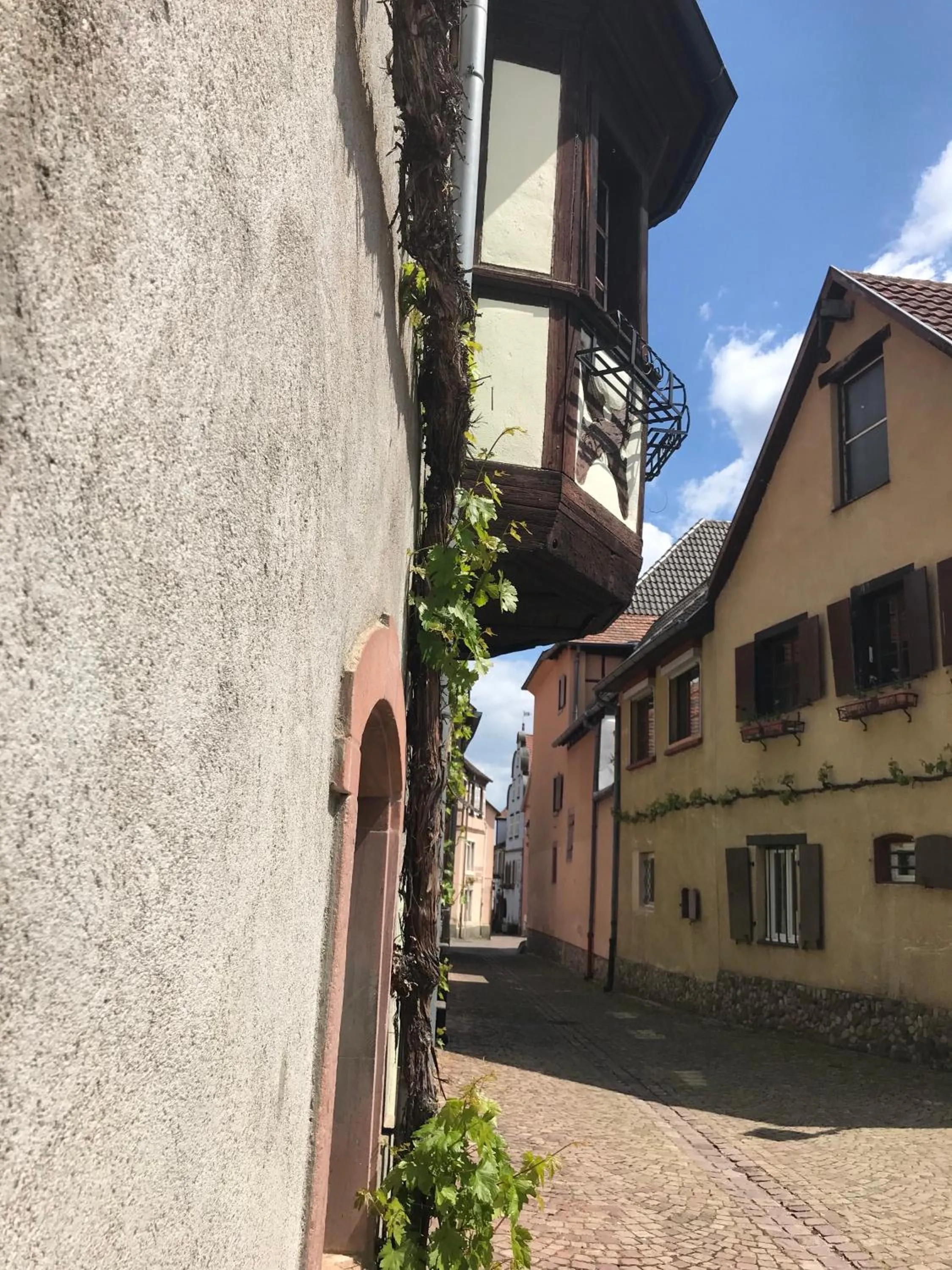 Neighbourhood in AUX DEUX CIGOGNES AMMERSCHWIHR